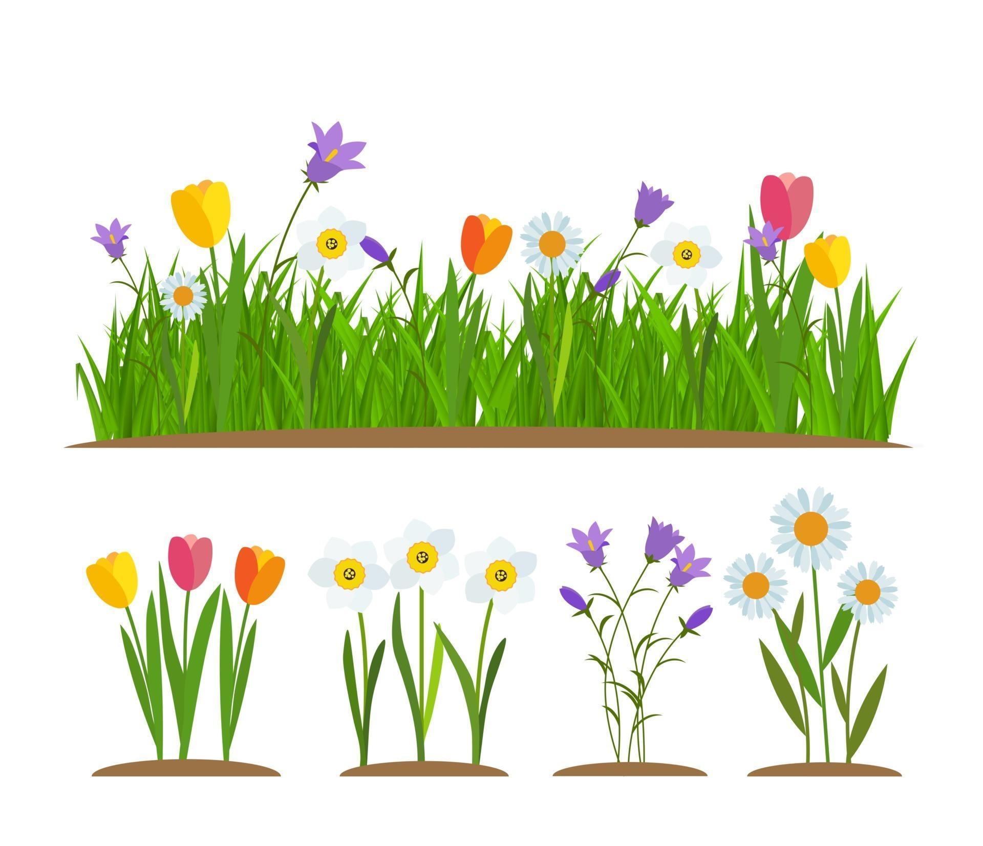 Grass and flowers border greeting card decoration element Stock Free