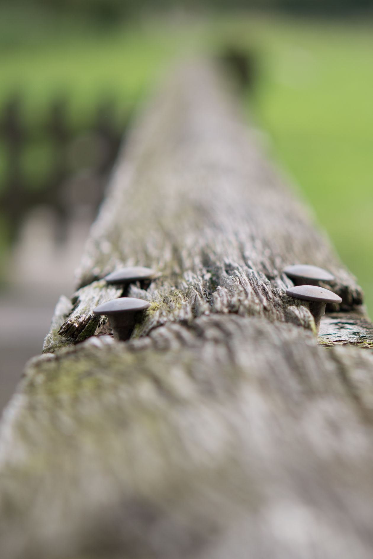 Nails macro photography Stock Free