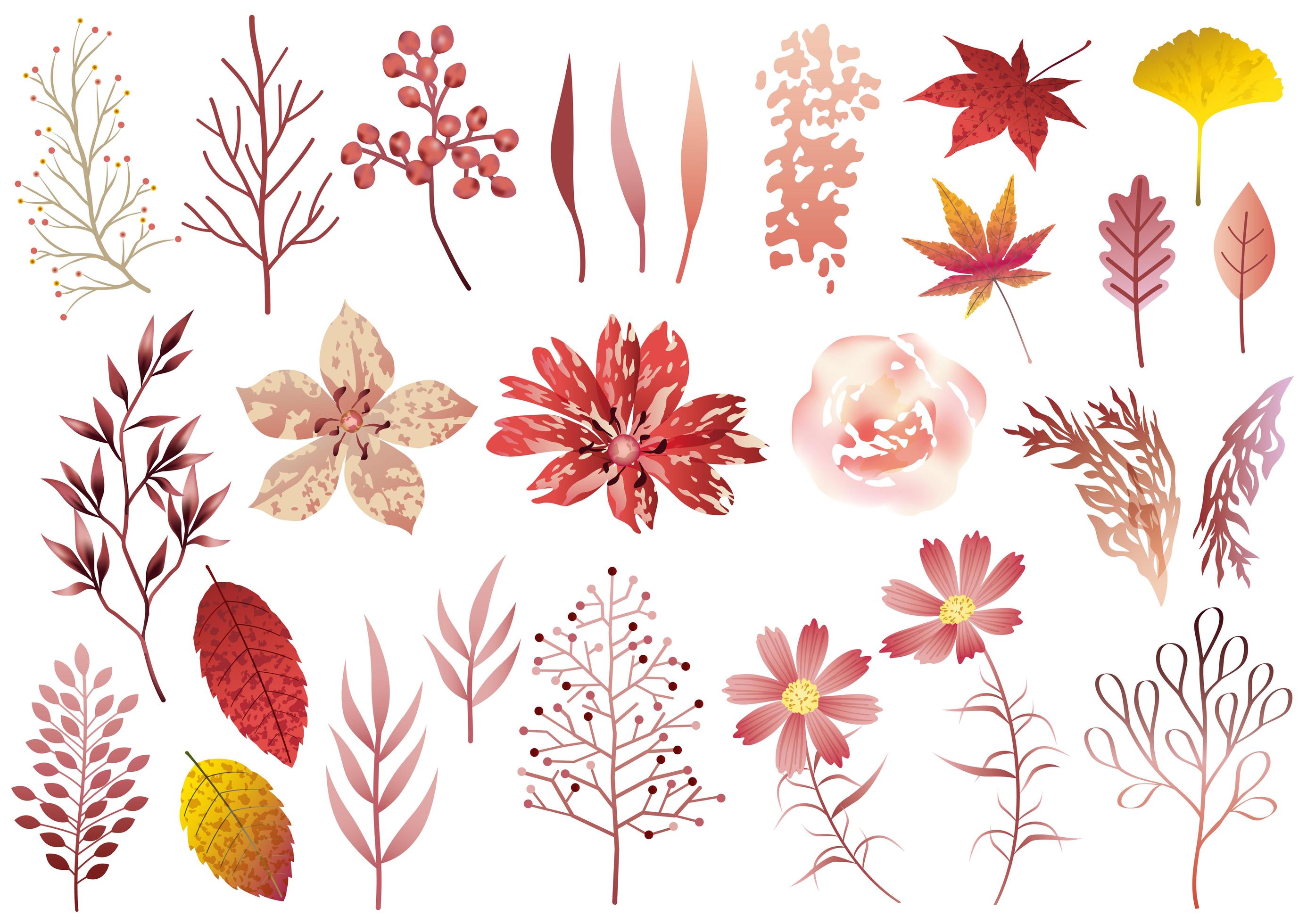 Set of Red Botanical Elements Stock Free