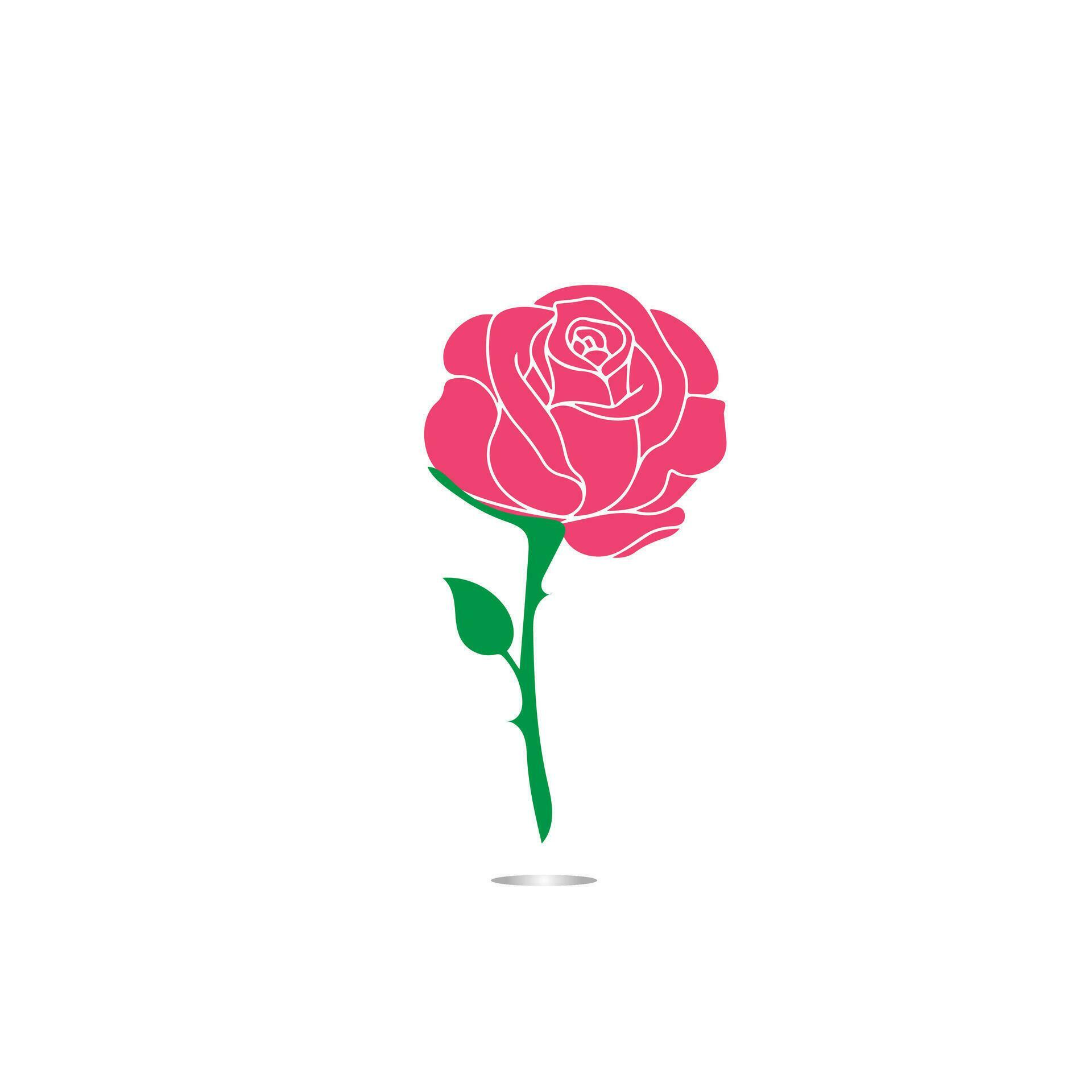 Red roses hand drawn, Black line rose flowers inflorescence silhouettes isolated on white background. Icon roses collection. Vector doodle illustration. Stock Free and Free SVG