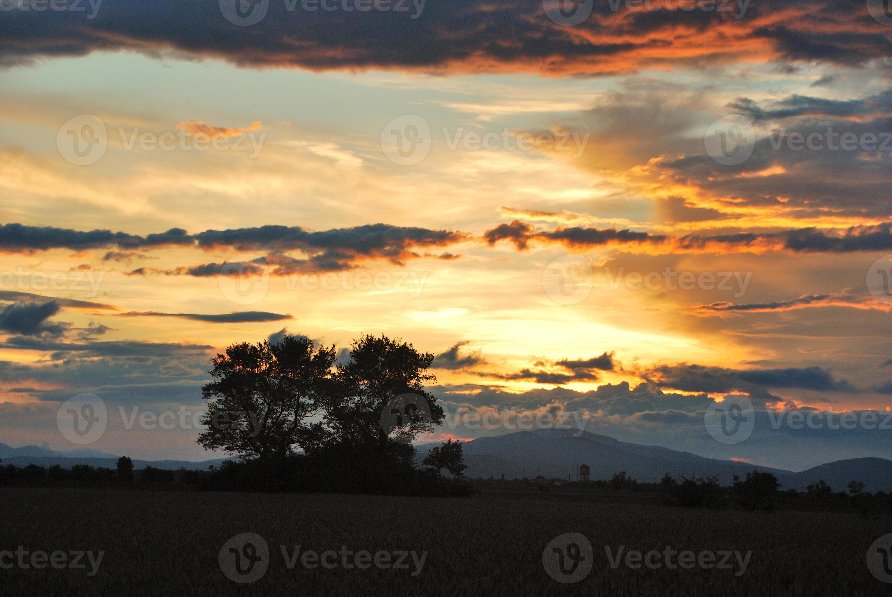 sunset and field Stock Free