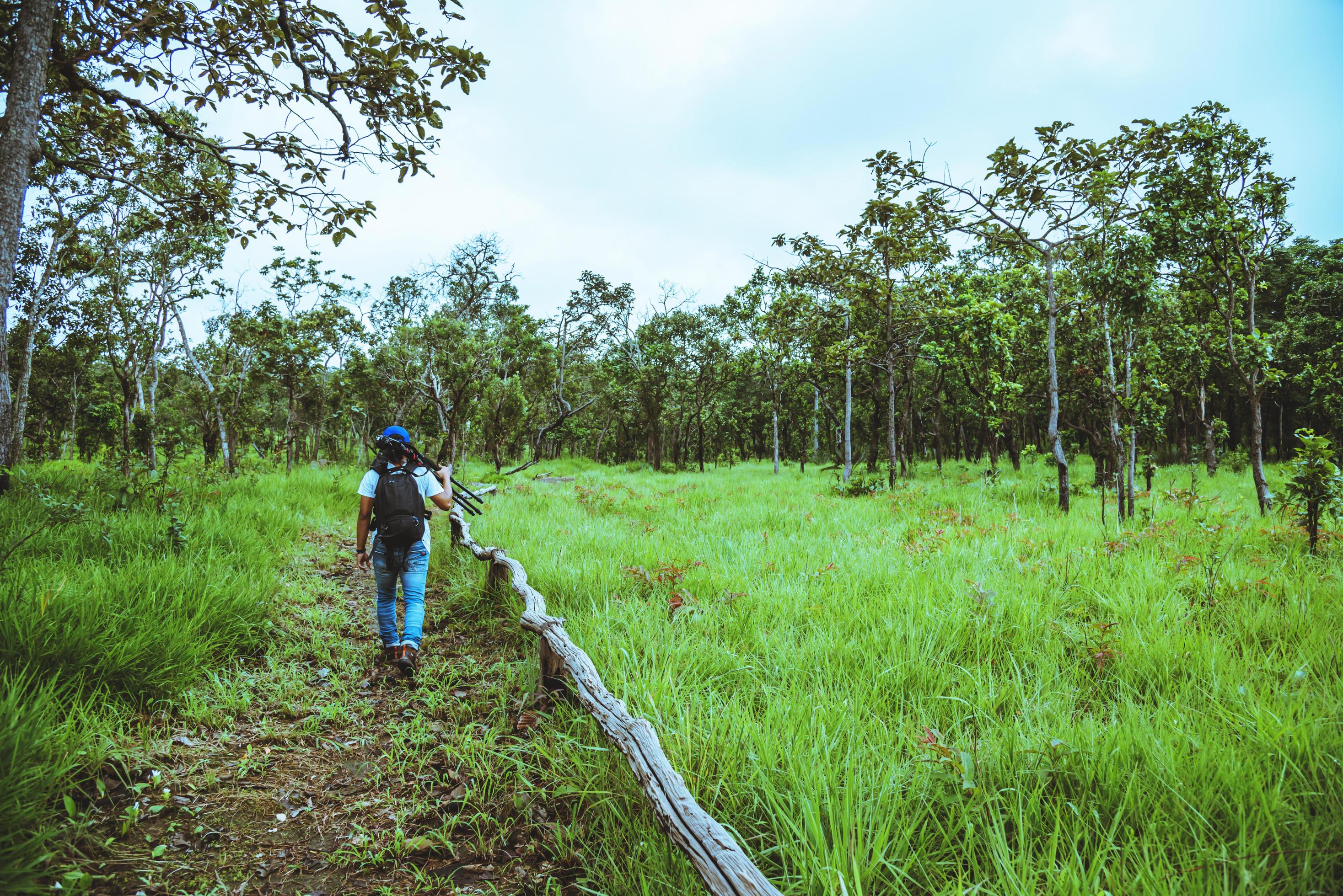 men Asian travel nature. Travel relax. Walk study the path Nature in the forest Stock Free