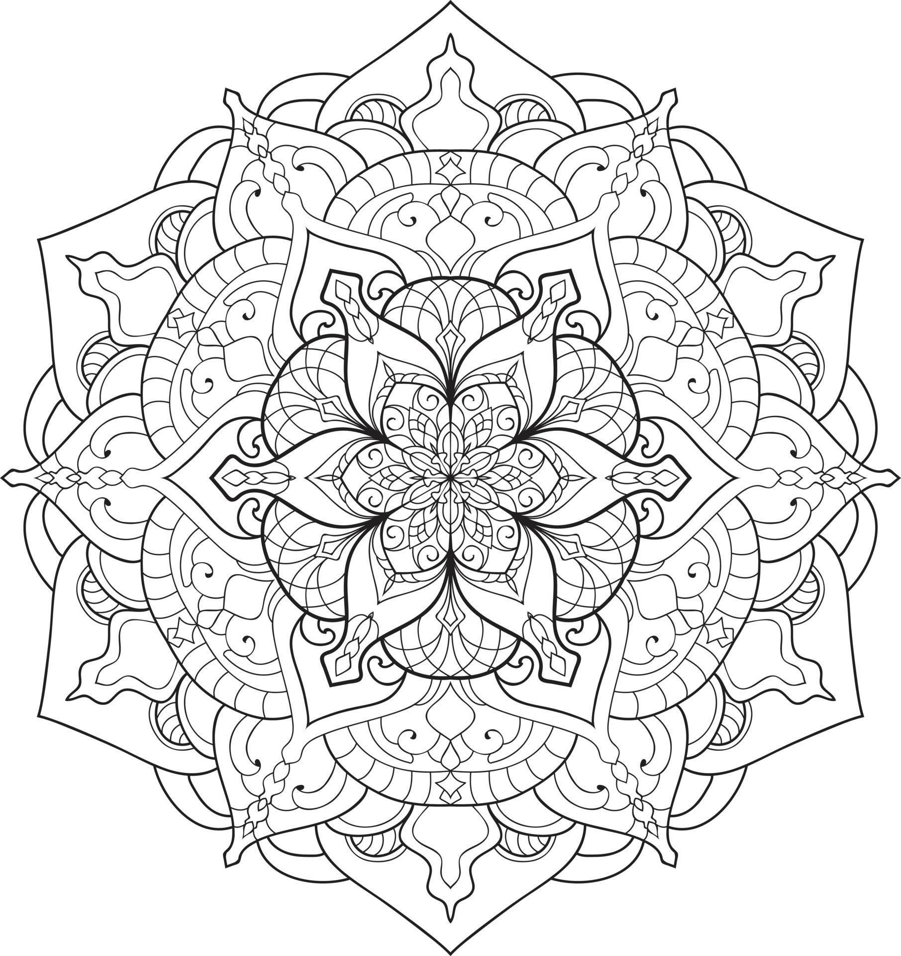 Circular Flower Mandala on White Stock Free Stock Free