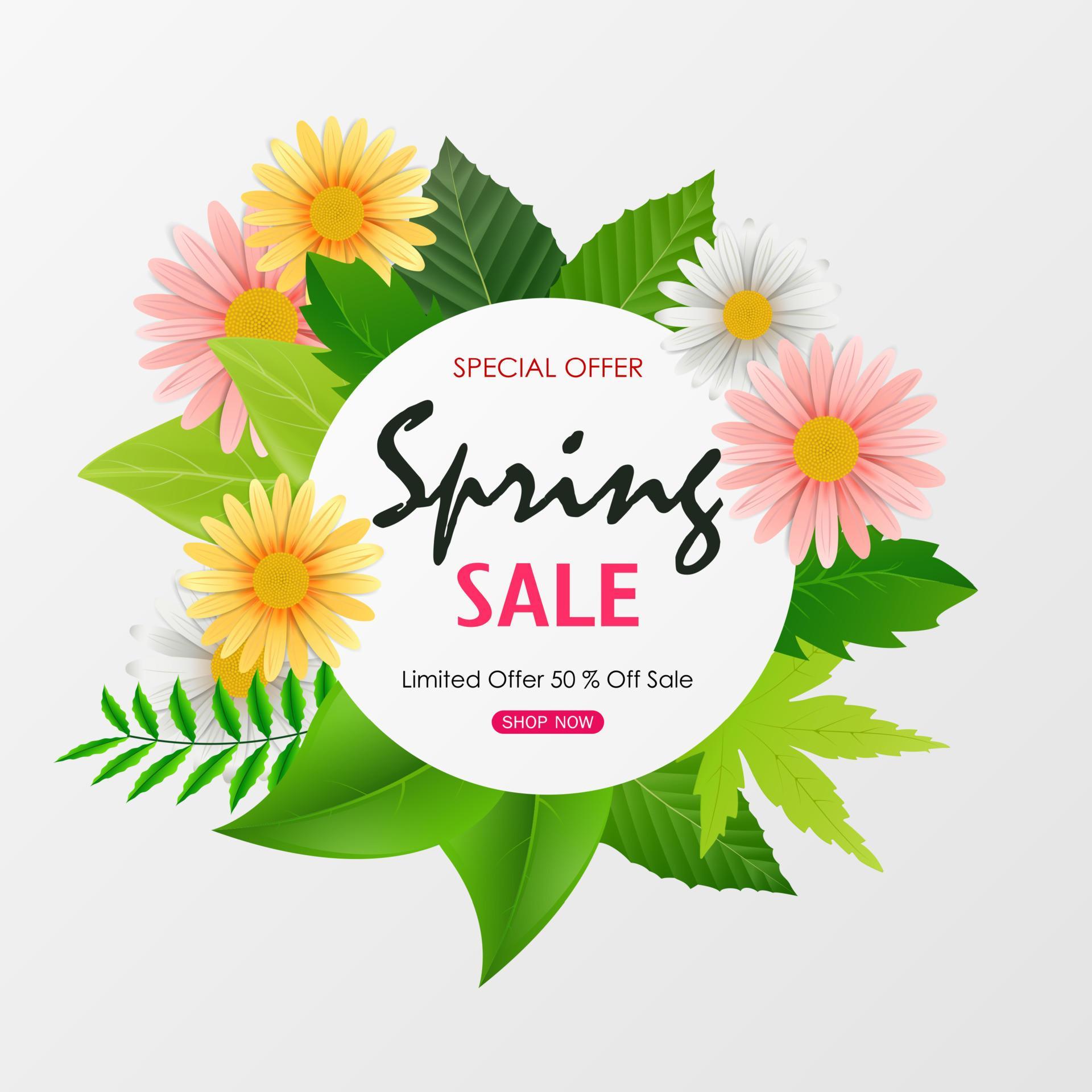 Spring sale background banner with beautiful colorful flower and green leaves Stock Free