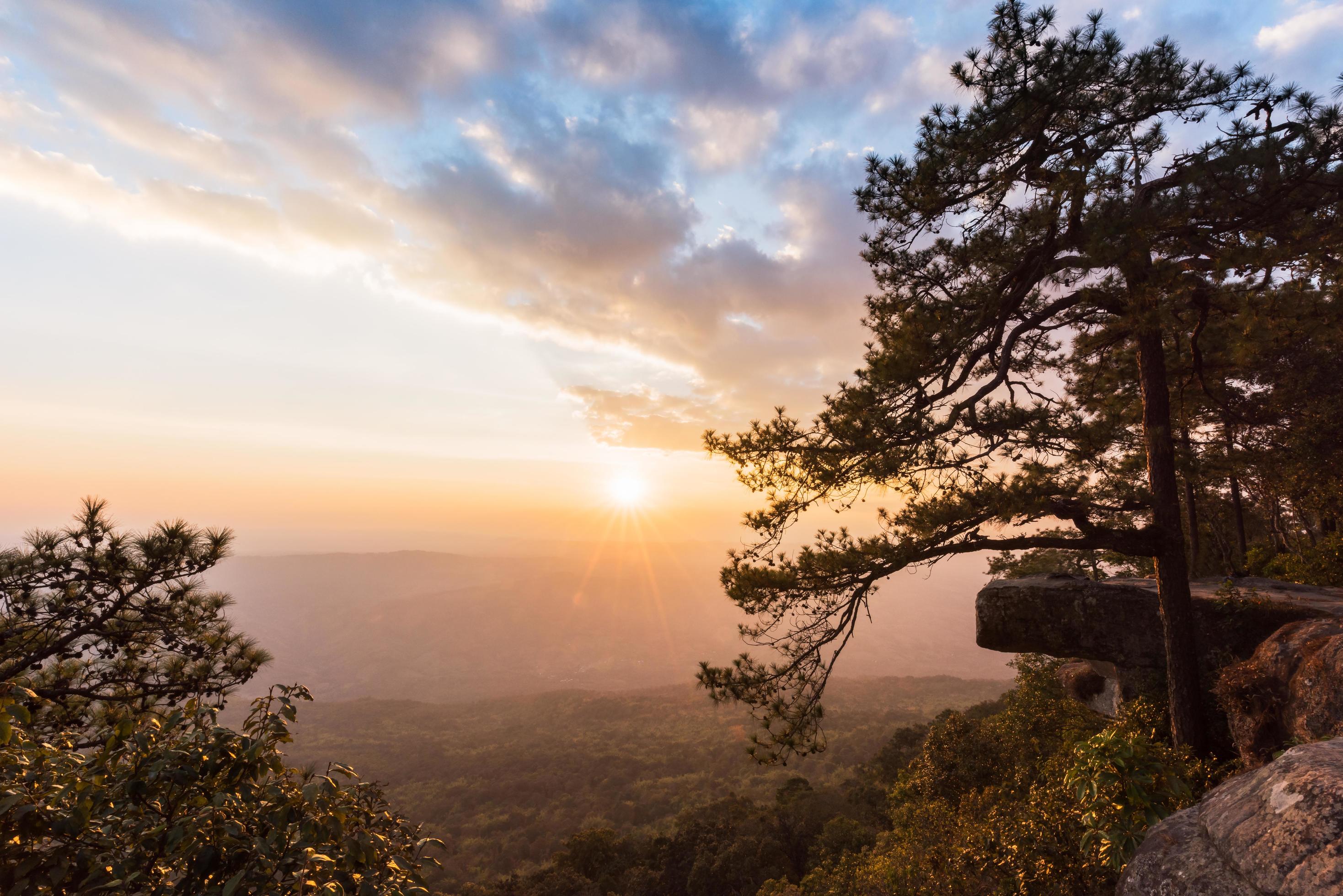 beautiful sunset at Lom Sak cliff, Phu Kradung National Park Stock Free