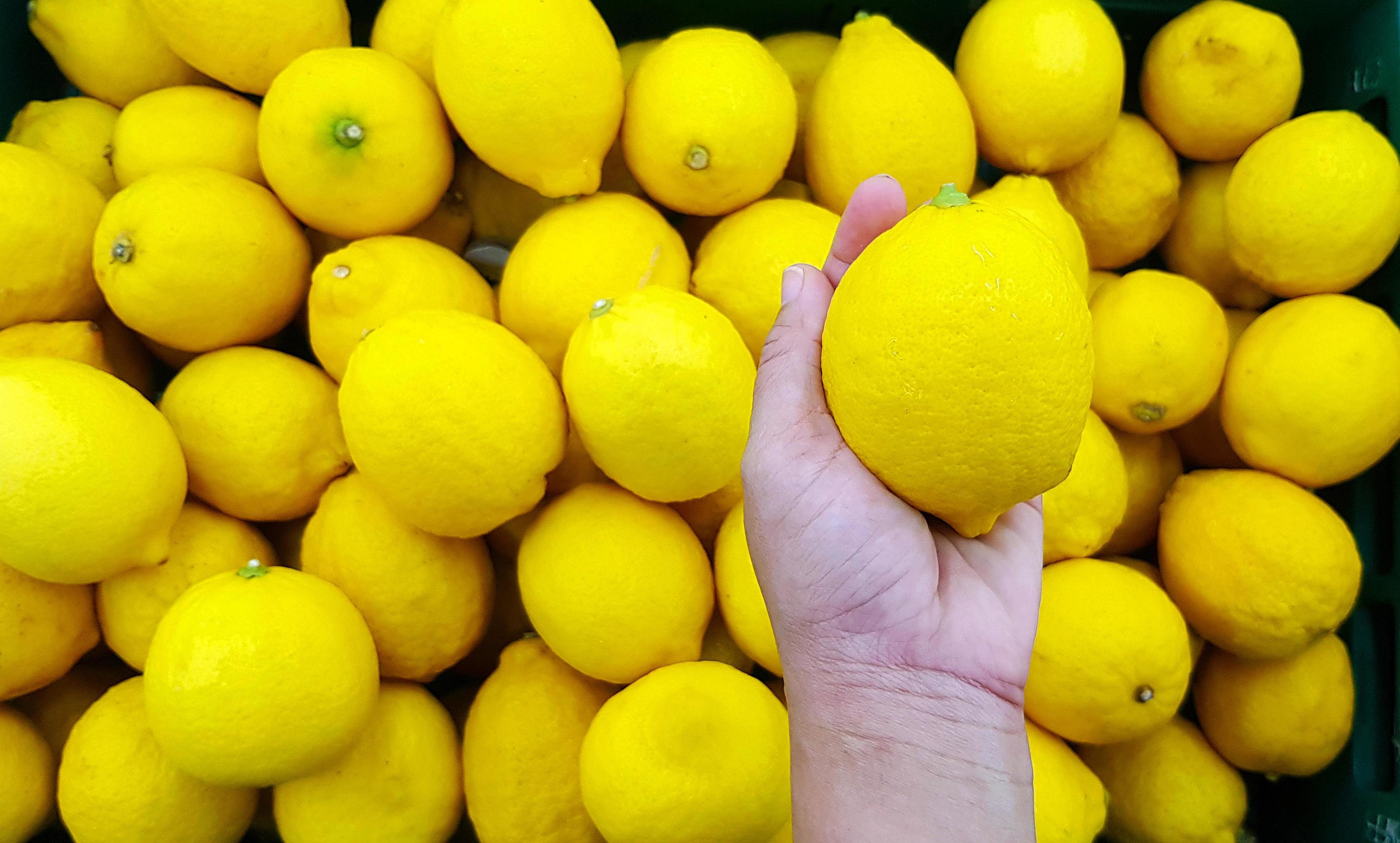 Close up hand of person holding lemon with copy space. Selection and Choice for buy best food, vegetable or fruit at market or supermarket. Stock Free