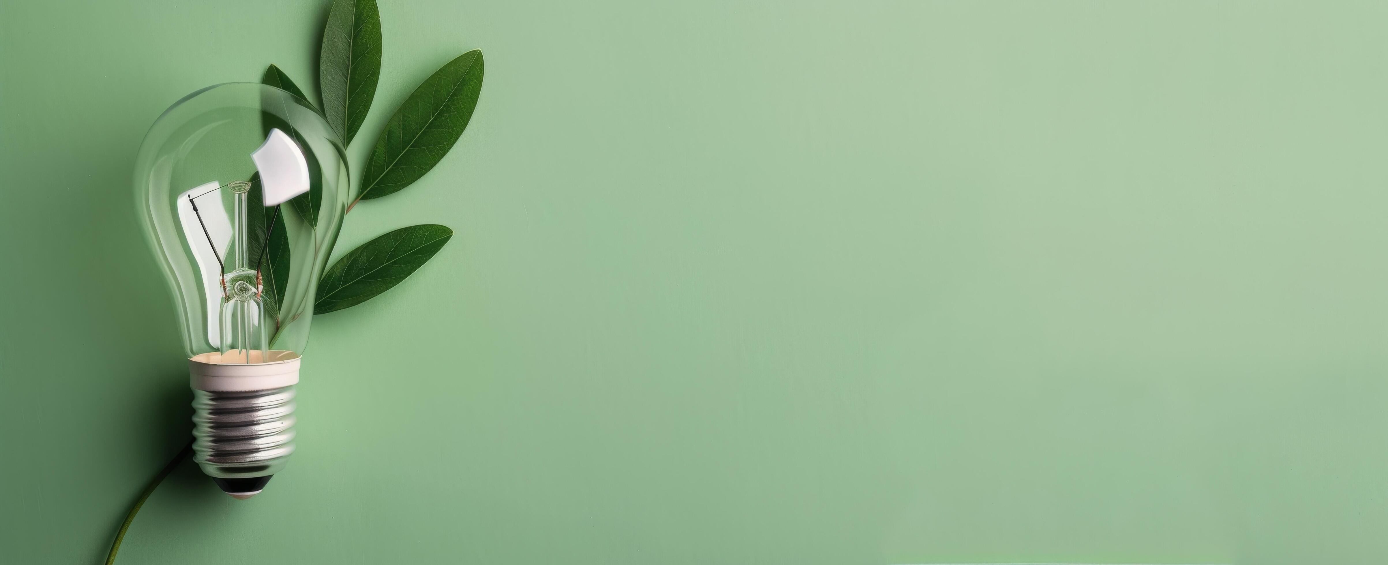 Eco-Friendly Lightbulb With Leaves Against a Green Background Stock Free