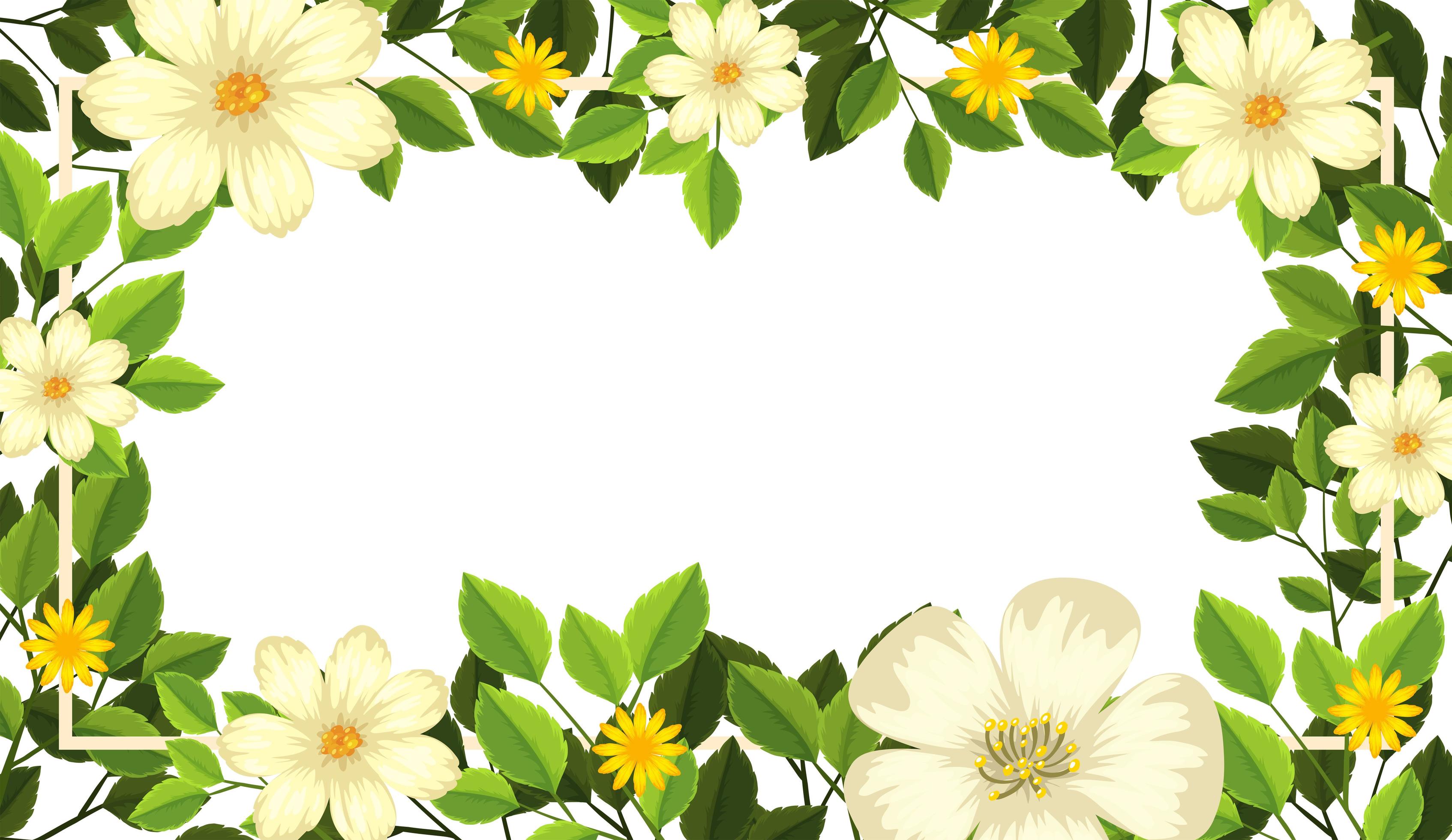 Beautiful flower blank card Stock Free