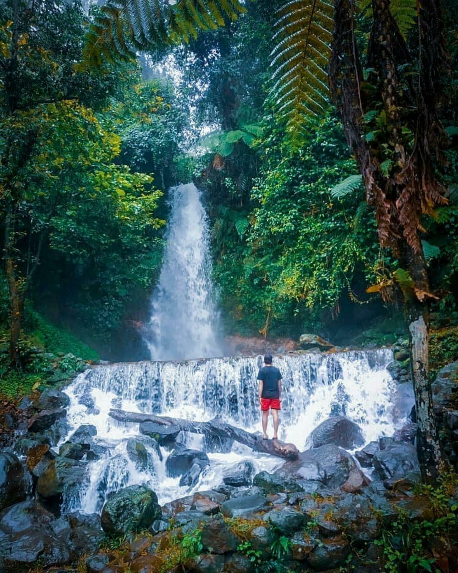 Serene Waterfall Amidst Lush Forest and Scenic Landscape Tranquil waterfall flows through lush green forest in stunning nature scene. Stock Free