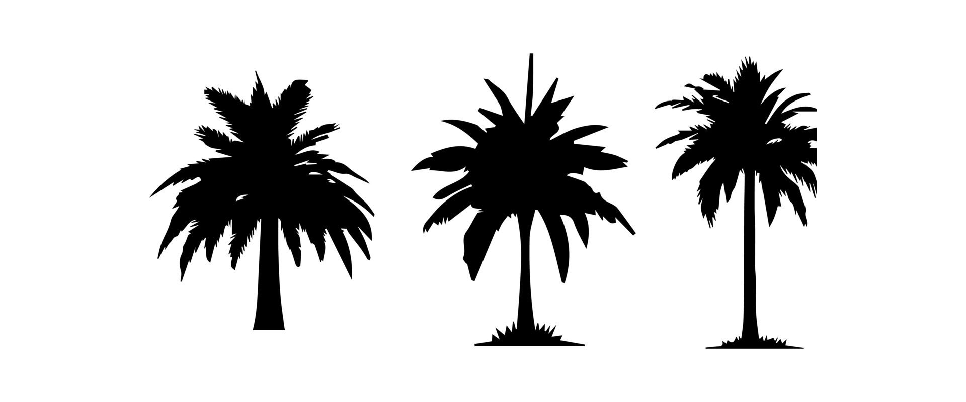 Black palm trees set isolated on white background. Palm silhouettes. Design of palm trees for posters, banners and promotional items. illustration Free Vector