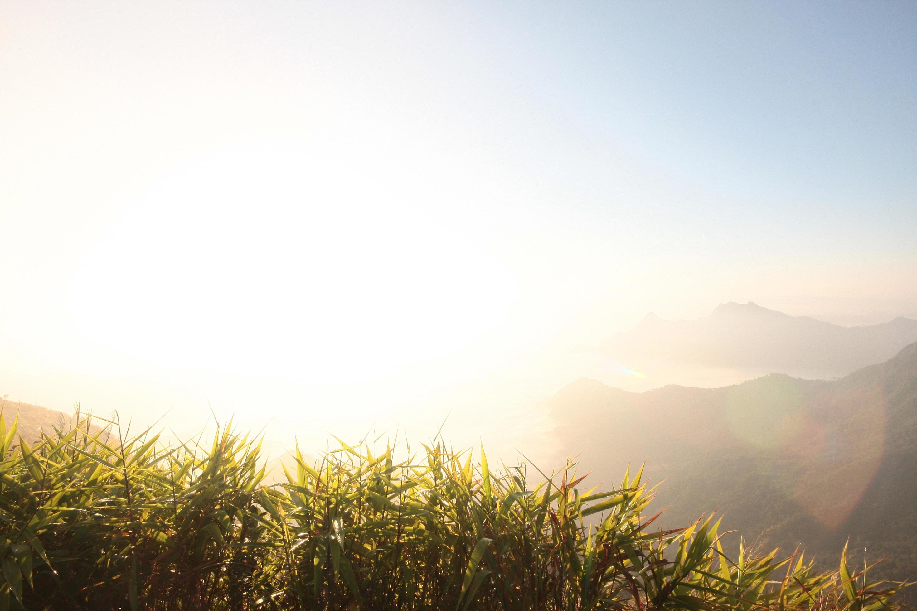 Aerial view of highland with dry grass and forest hill in sunrise on the valley mountain in Thailand Stock Free