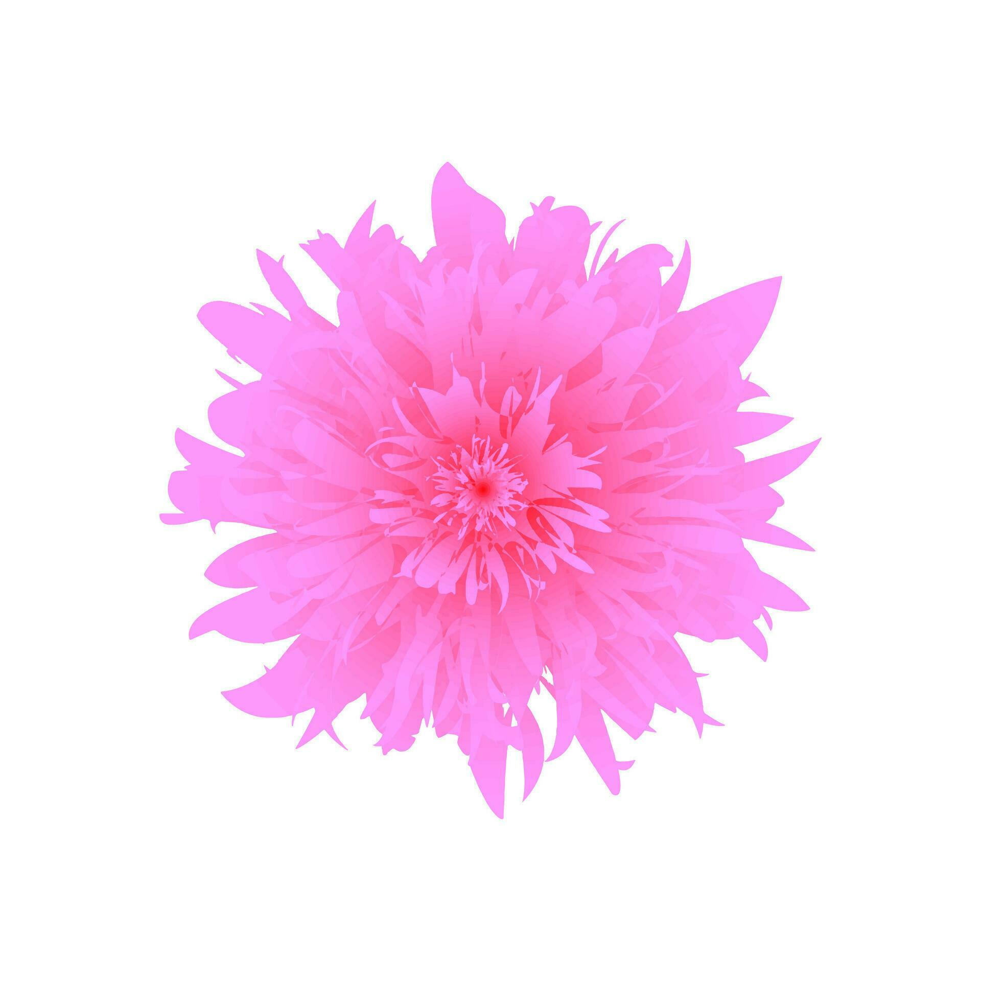 Flower vector abstract design Stock Free