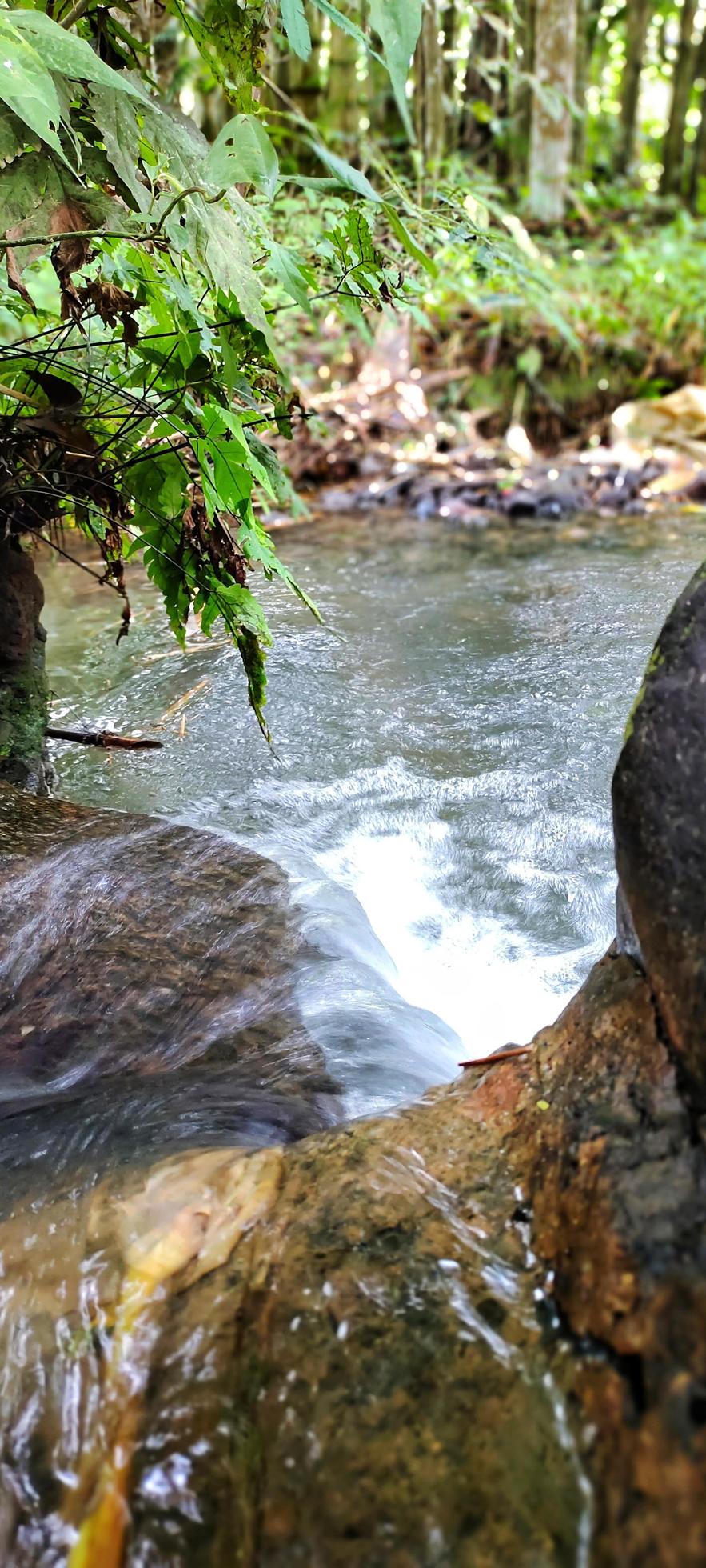 Portrait of a natural river flow that looks clean and far from waste Stock Free