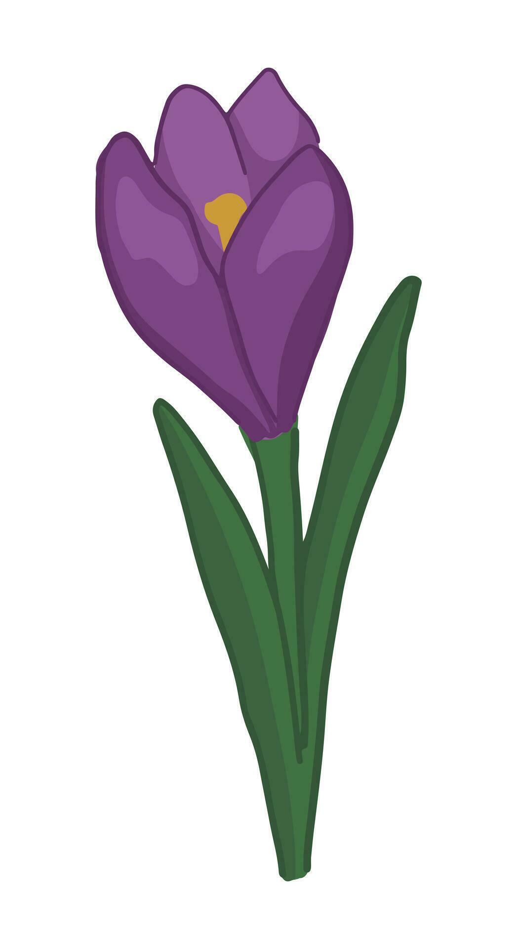 Crocus doodle. Spring time flower clipart. Cartoon vector illustration isolated on white background. Stock Free