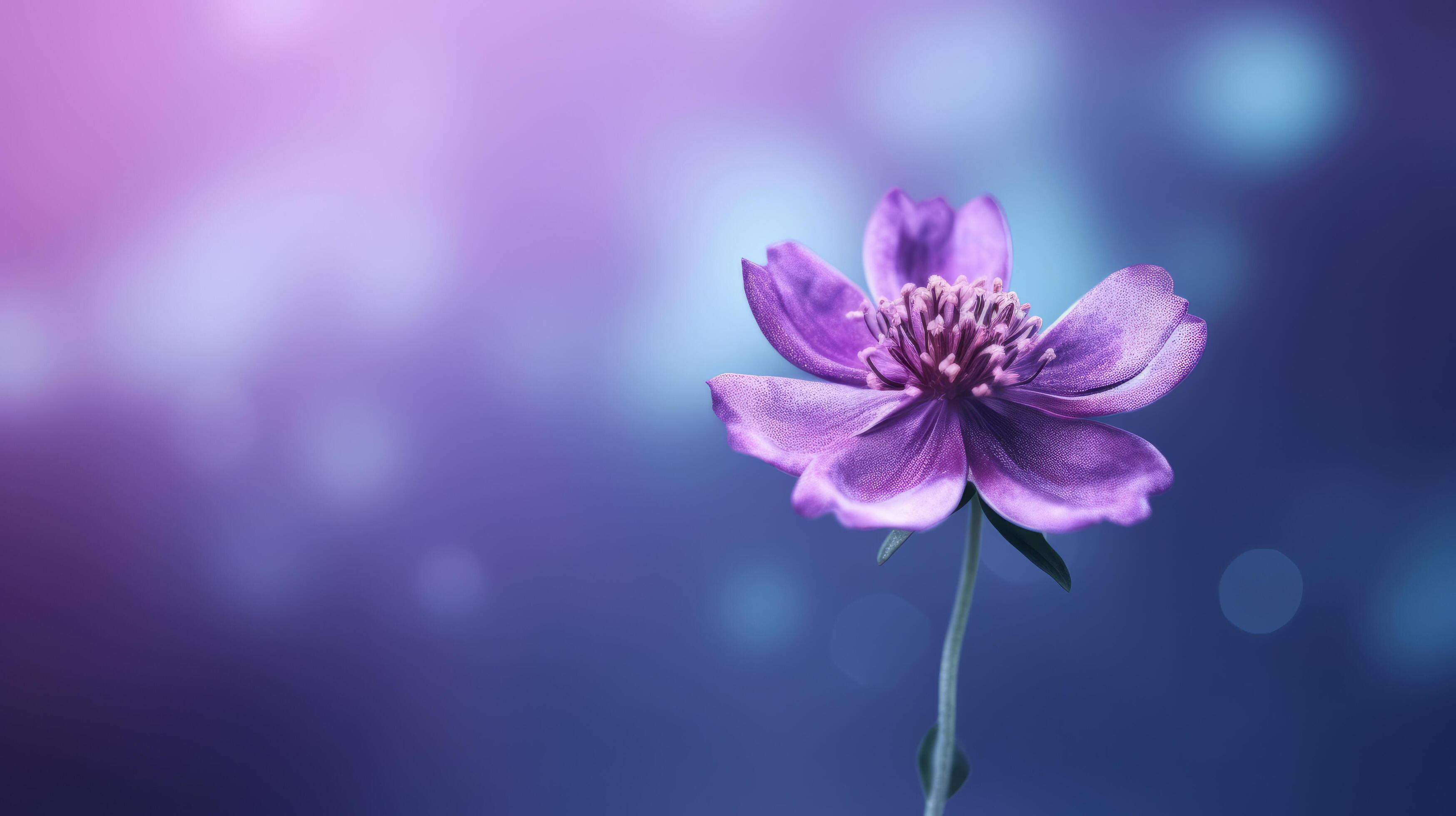 Violet flower background. Illustration Stock Free