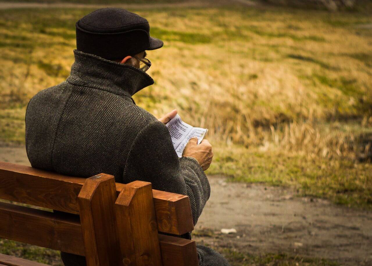 Old Man Reading Book Park Bench Stock Free