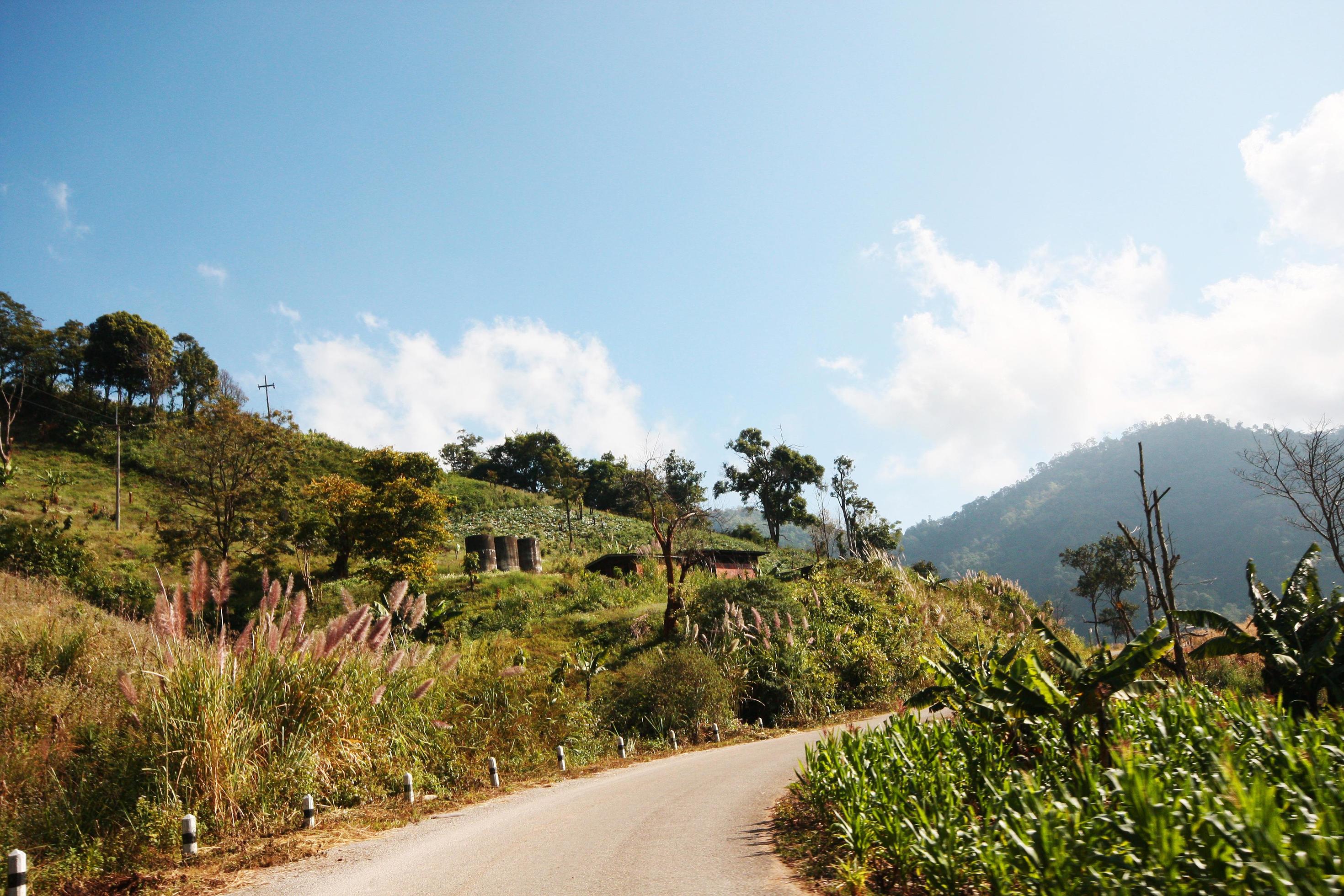 Yellow Sign label warning of curve road on the mountain in Thailand Stock Free