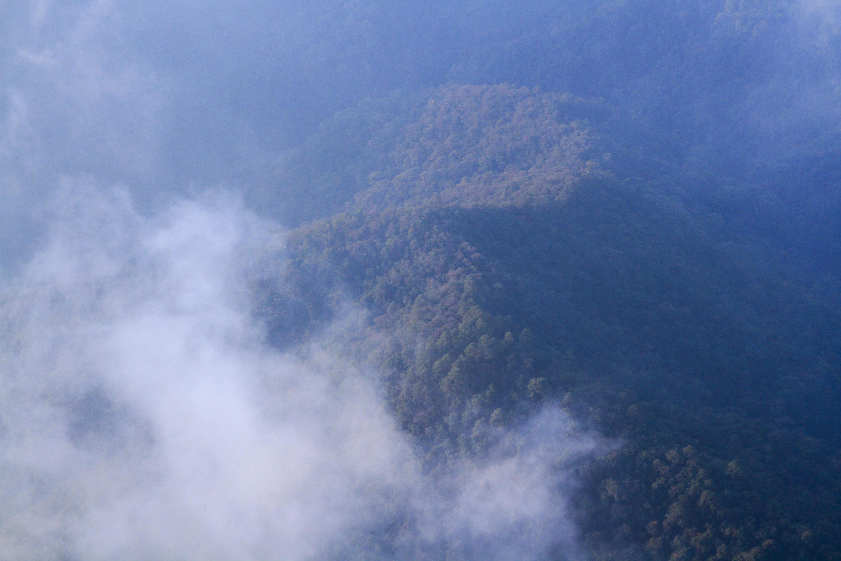 Golden light with sunrise in morning on the sky and clound on the mountain. Fog cover the jungle hill in Thailand Stock Free