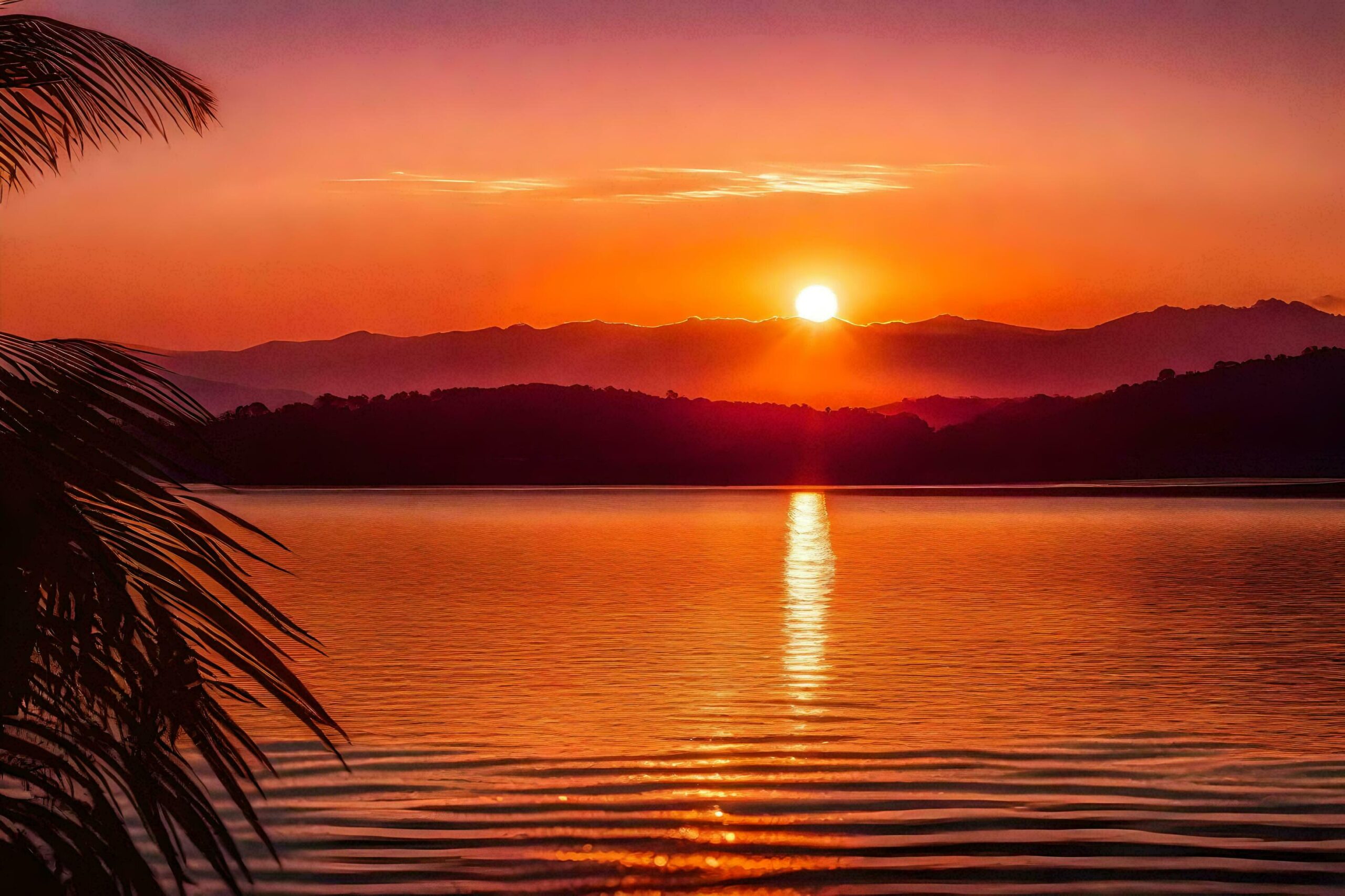 the sun sets over a lake with palm trees Free Photo