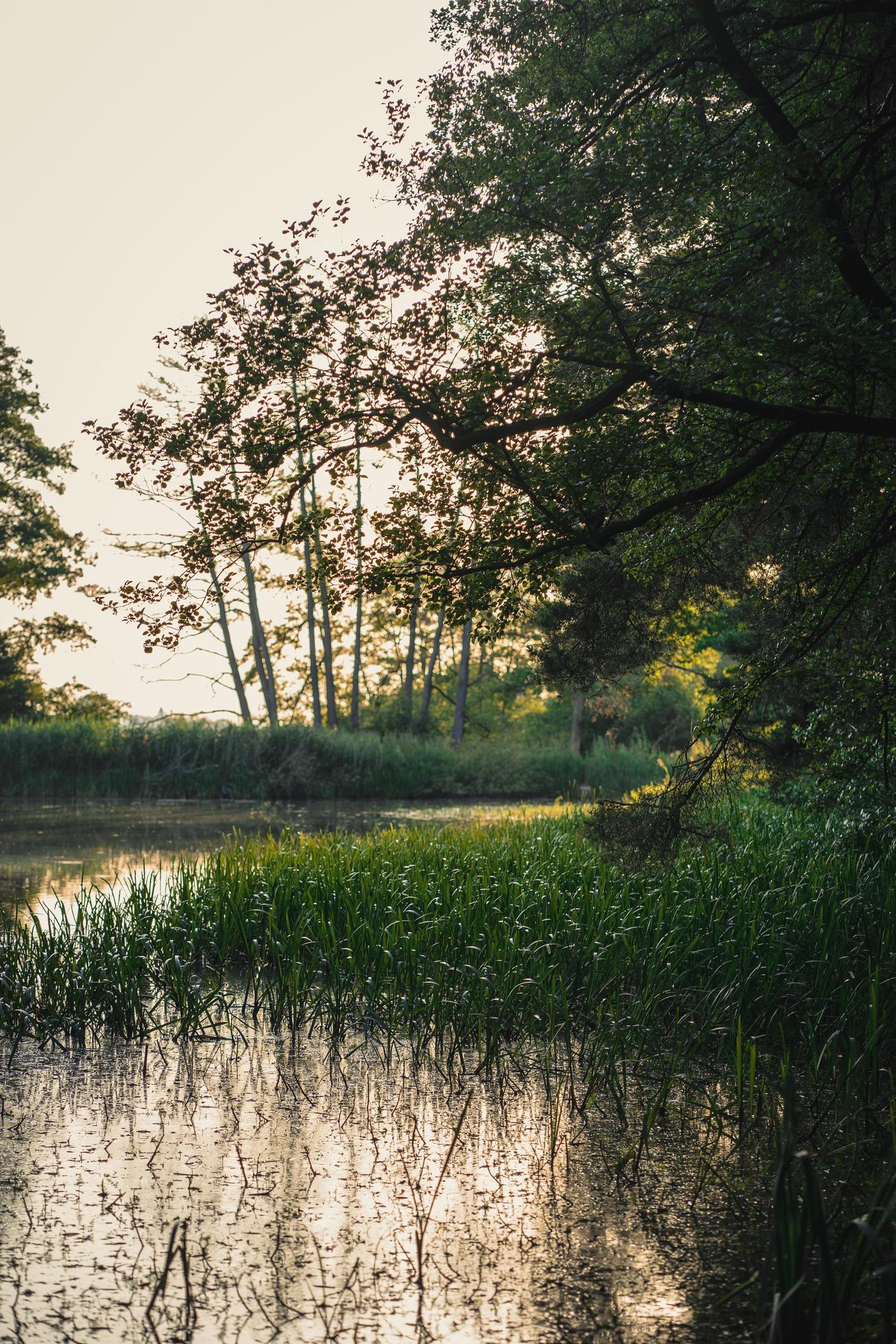 Nature lagoon under clear sky Stock Free