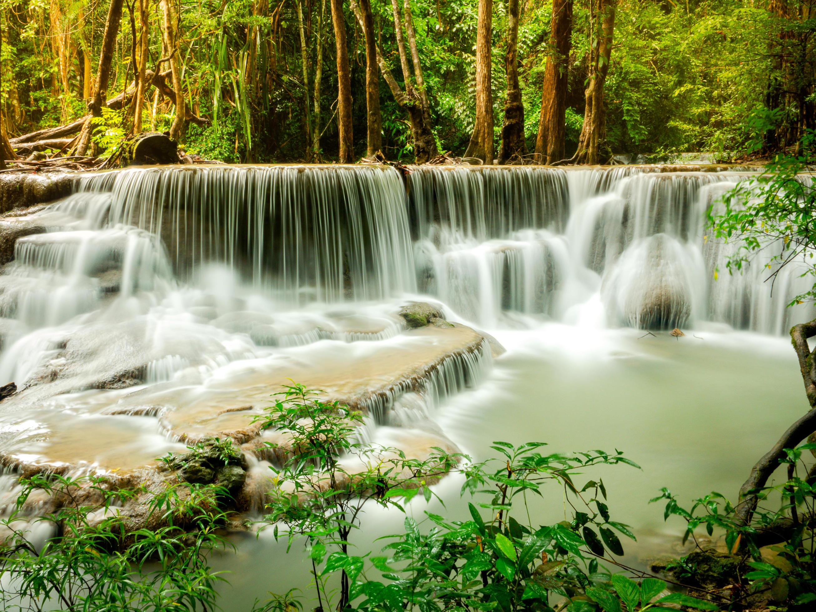 The wonderful beauty of the rain forest and Huai Mae Khamin waterfall Stock Free