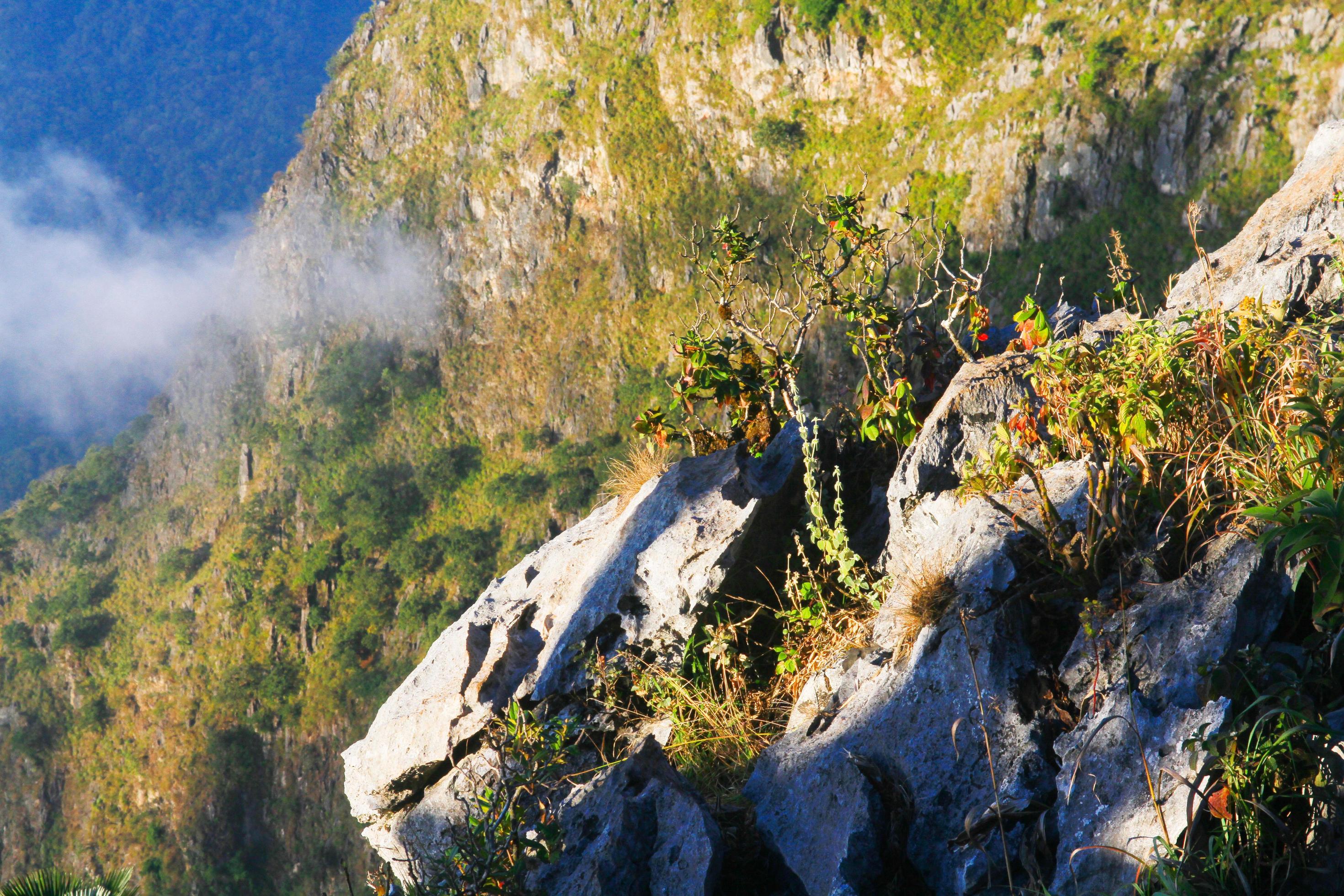 Sunrise in morning with tree on the rock of mountain. Sunray with Fog and mist cover the jungle hill in Thailand Stock Free