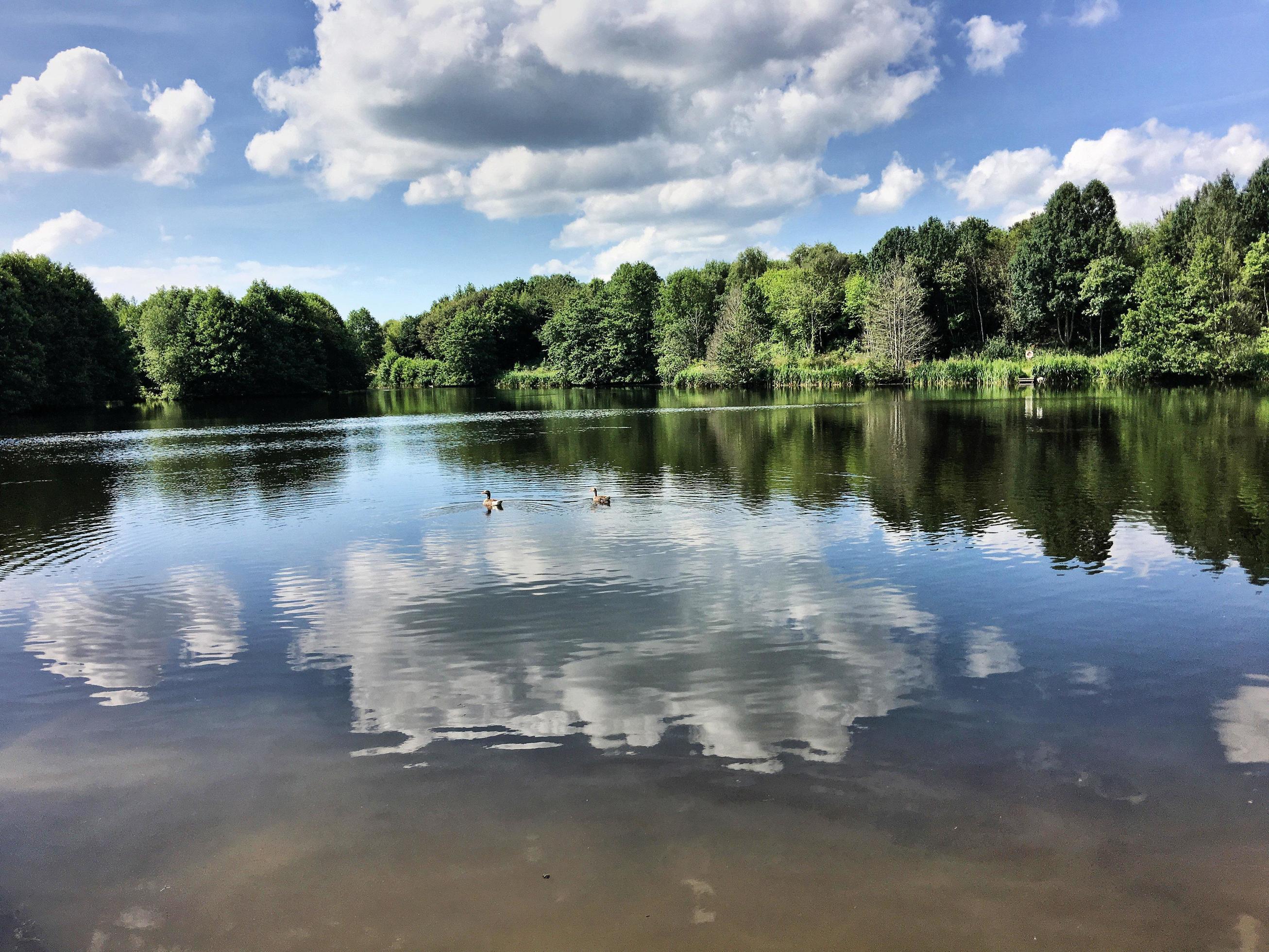 A view of Alderford Lake near Whitchurch in Shropshire Stock Free