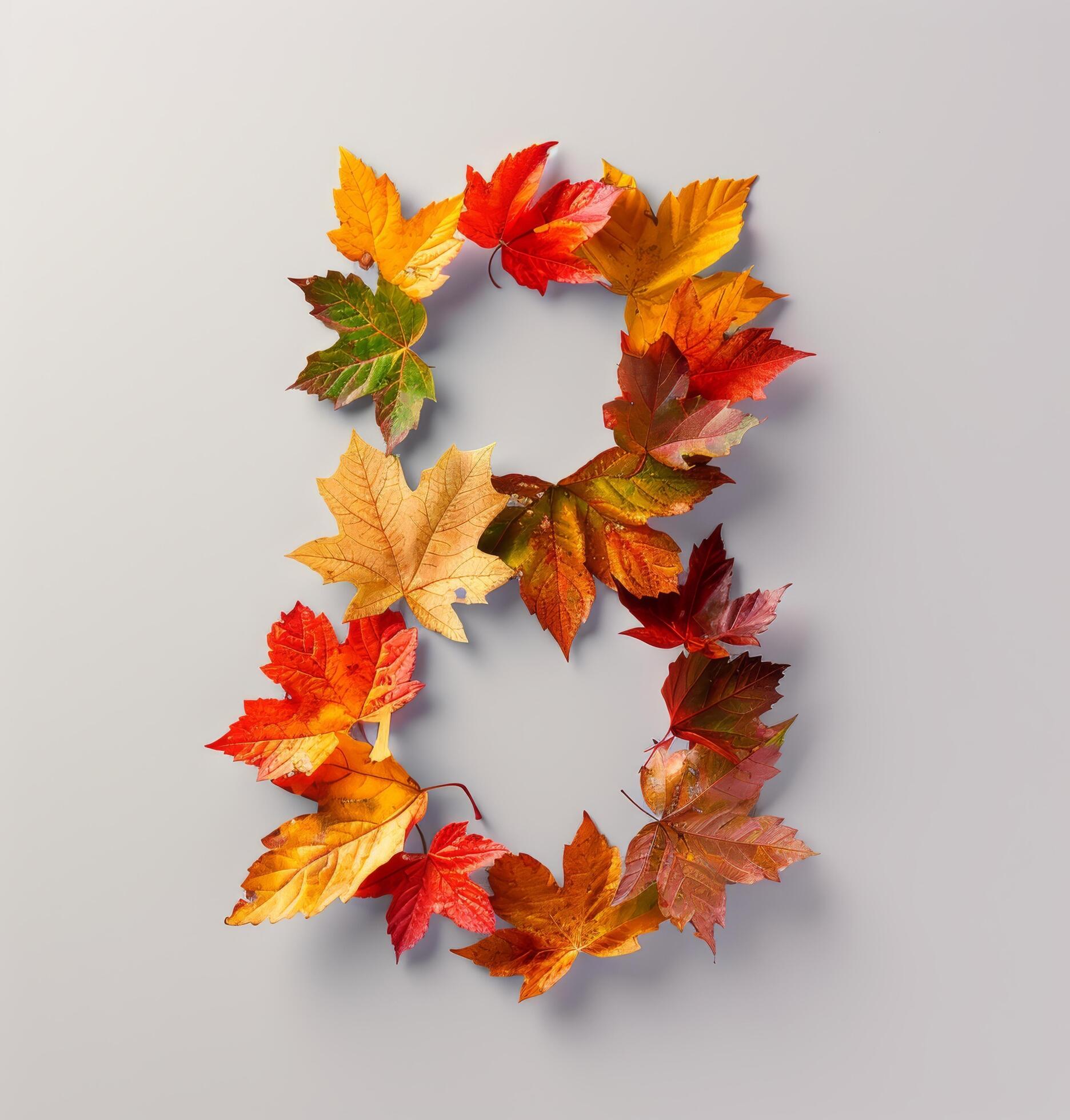 Colorful Autumn Leaves Formed Into the Number Eight on White Background Stock Free