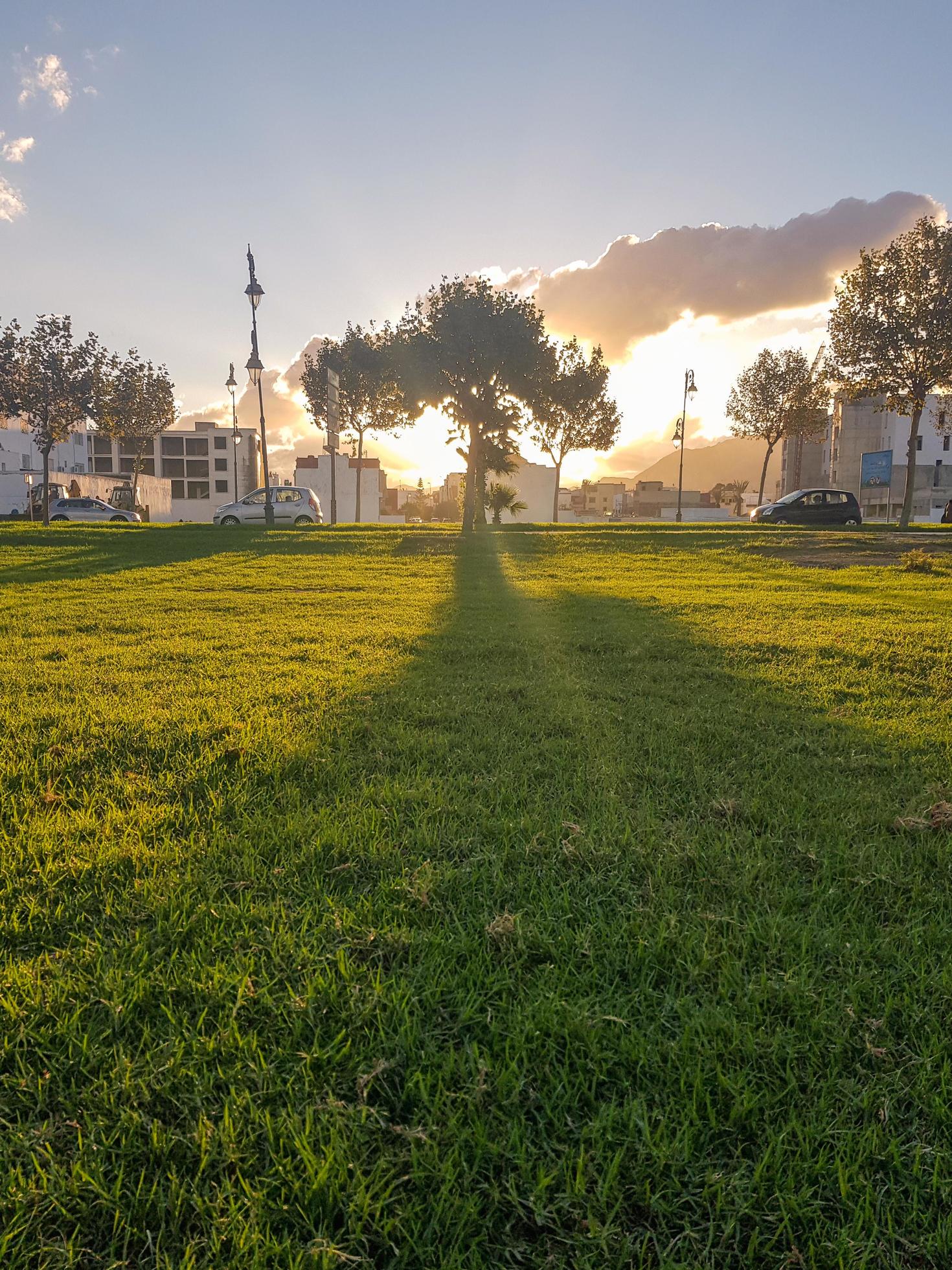 Urban sunset a spectacular display of nature beauty on full view Stock Free