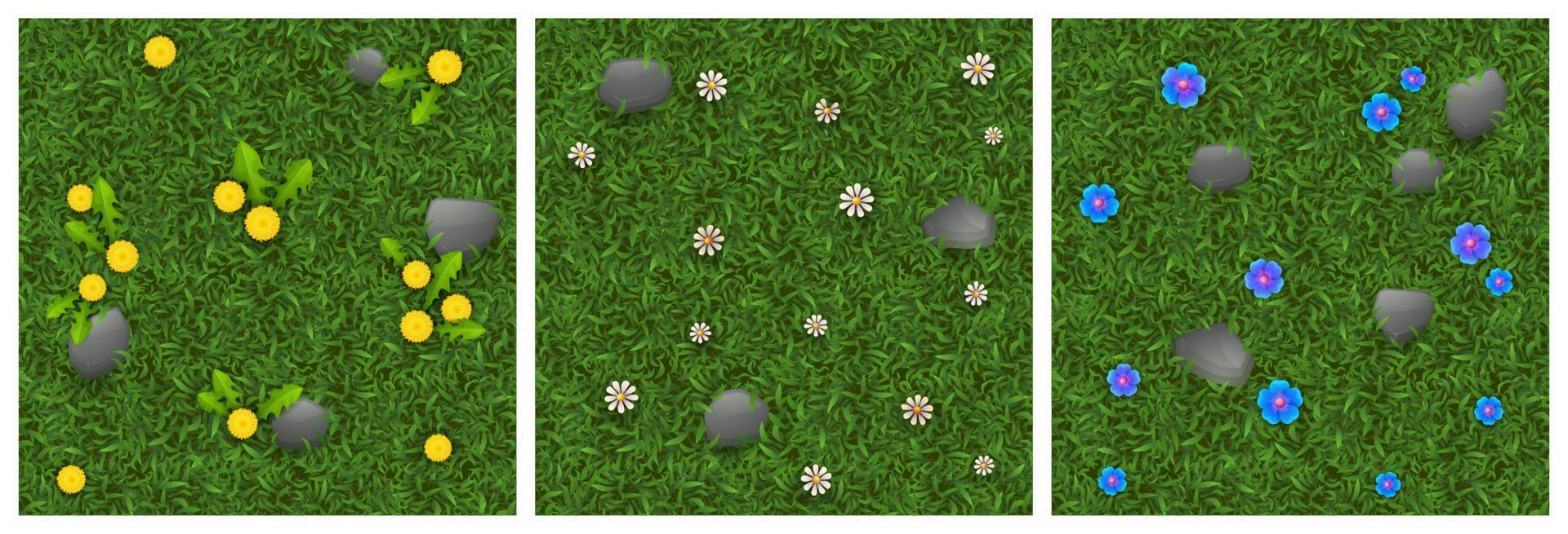 Textures of green grass with flowers and stones Stock Free