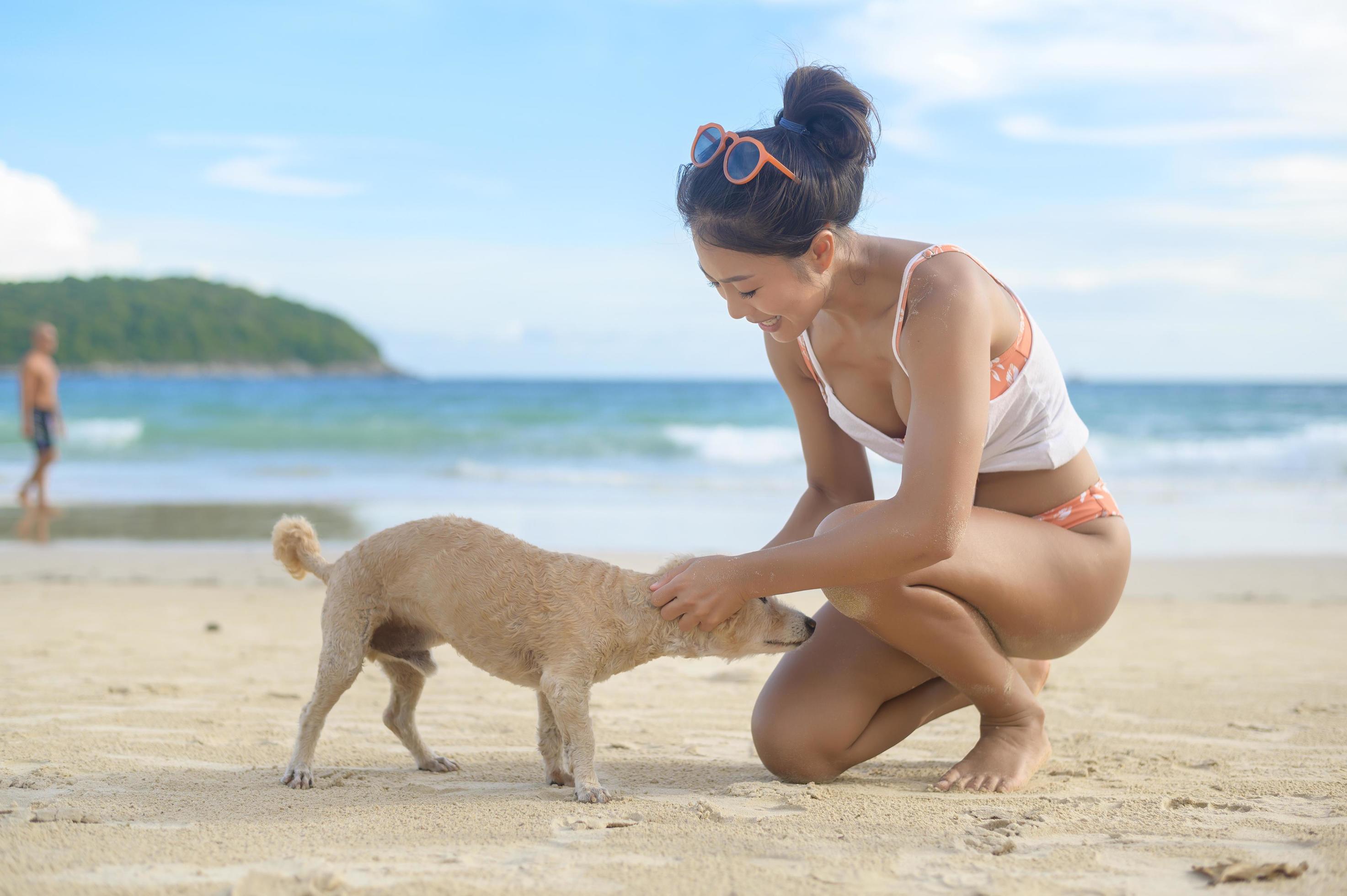 
									Young Beautiful woman in Bikini with her dog enjoying and relaxing on the beach, Summer, vacation, holidays, Lifestyles concept. Stock Free