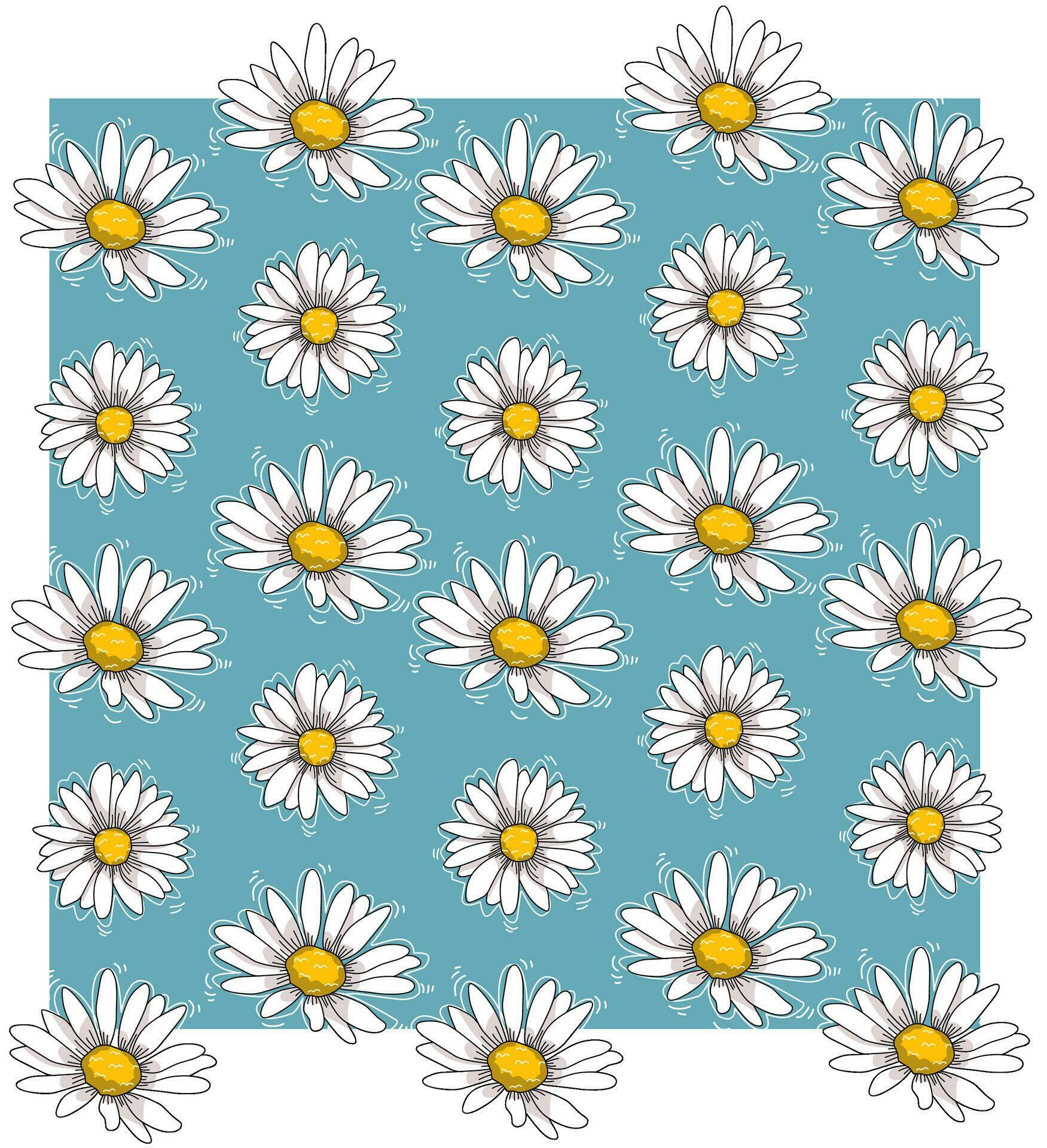 Wallpaper White daisy flowers on a blue background Stock Free