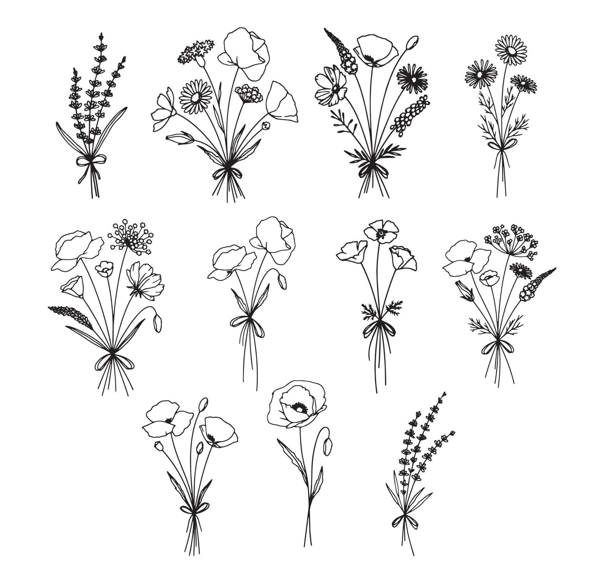 Vector collection set of hand drawn flowers and herbs illustration of botanical plants sketch set of ink hand drawn medicinal herbs and plants sketch Stock Free