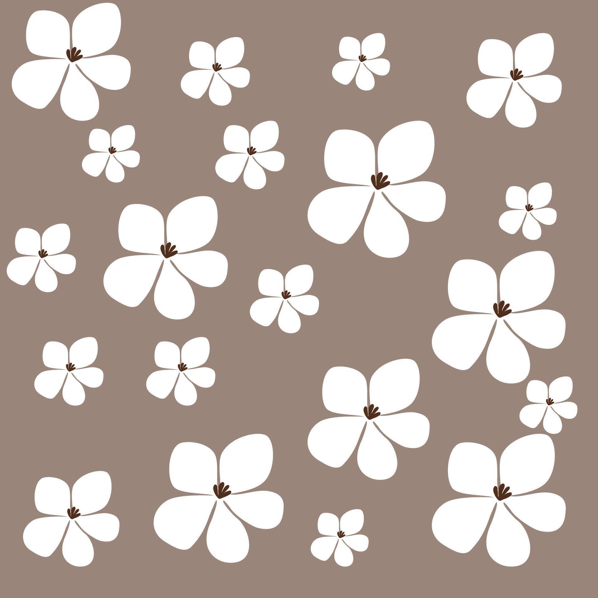 Simple white flowers with five petals on boho brown background Stock Free