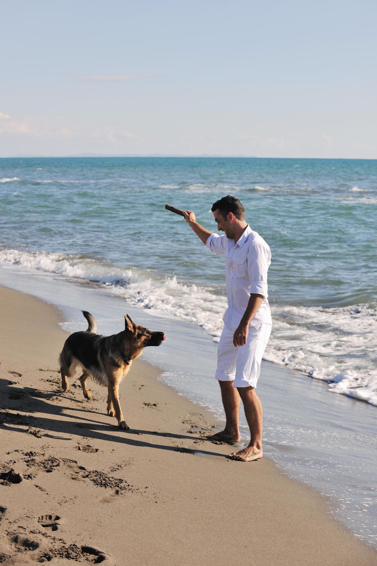 happy family playing with dog on beach Stock Free