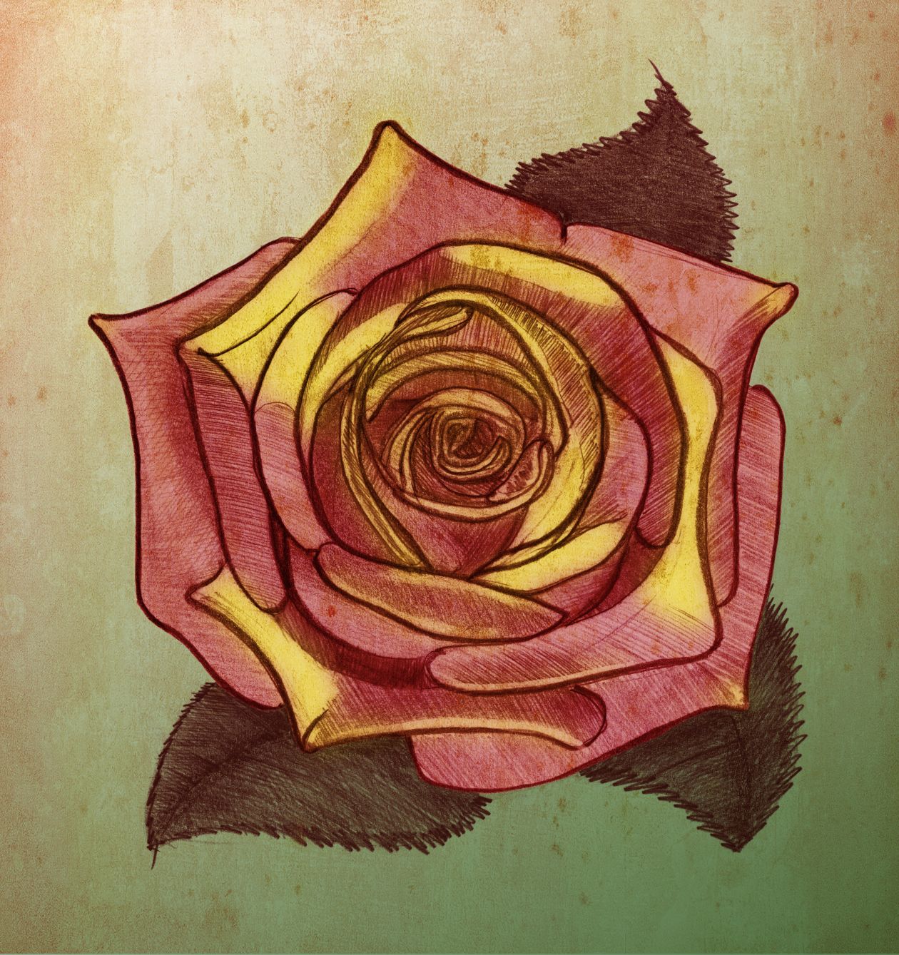 Rose. Sketch on the old paper. Stock Free