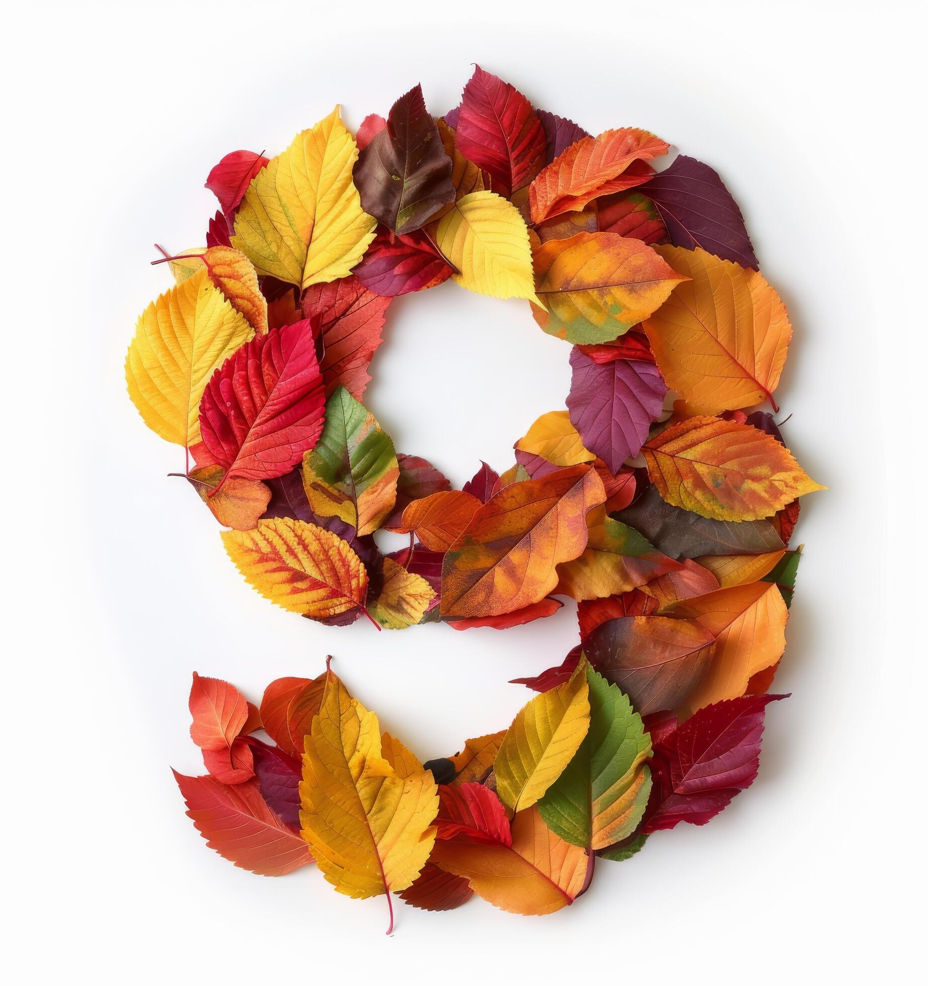 Autumn Leaves Arranged in a Number Nine on White Background Stock Free