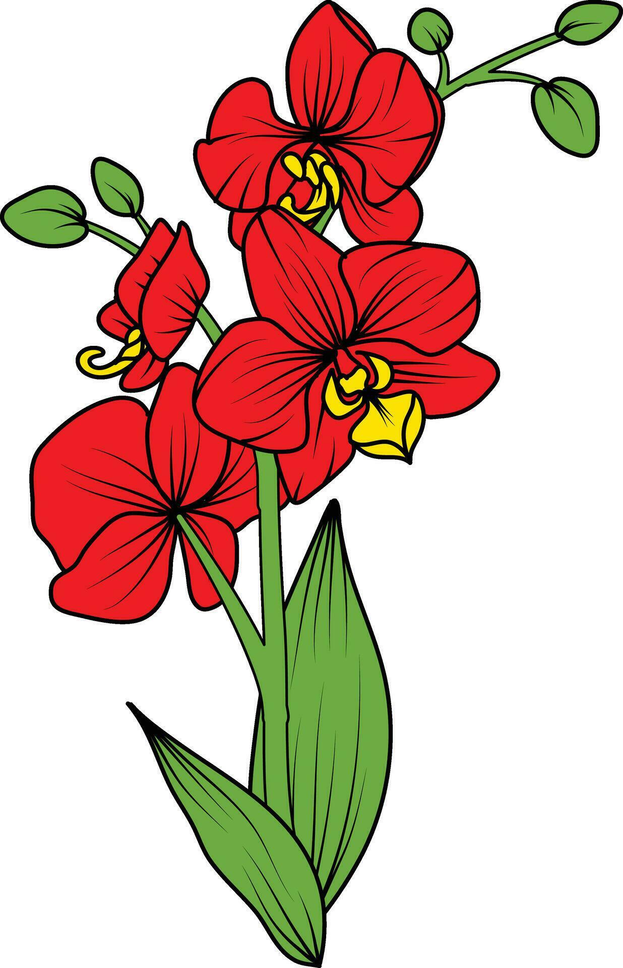 Red orchid branch vector flower, illustration of beautiful red orchid flower Stock Free