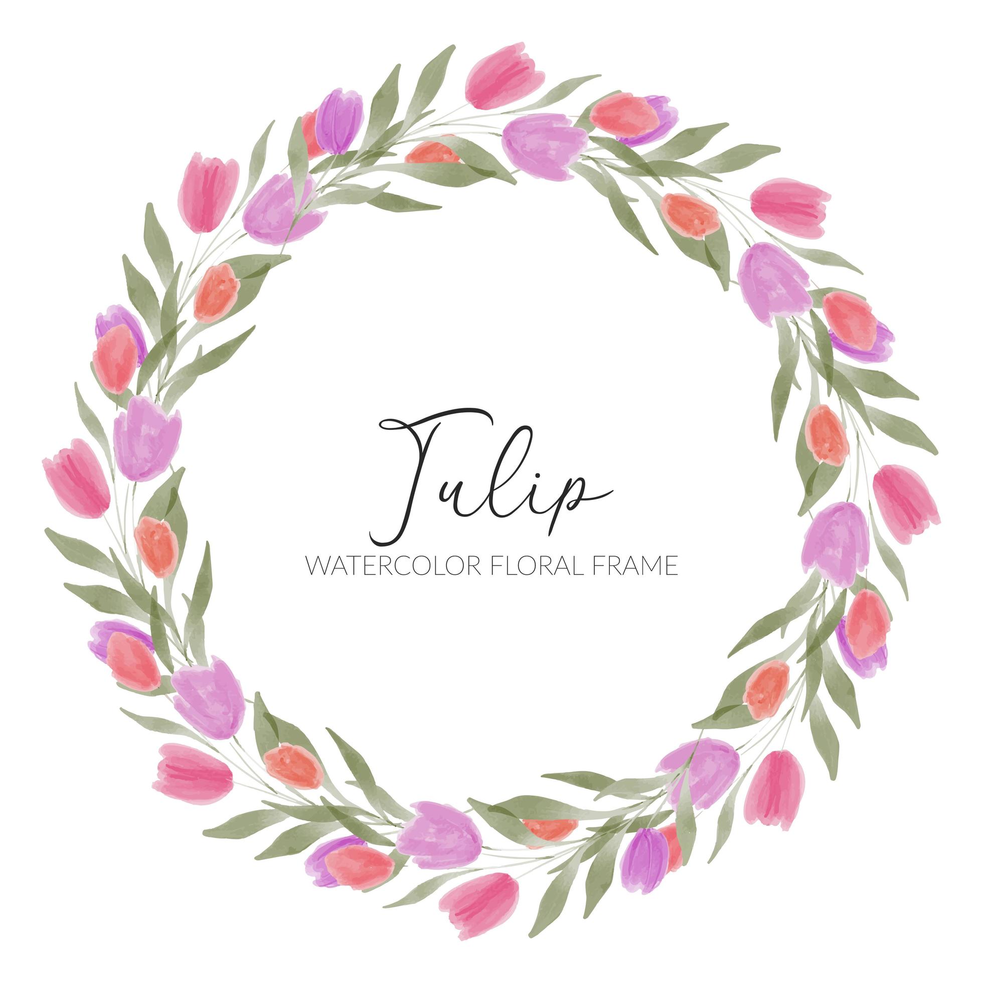 watercolor tulip flower wreath frame Stock Free