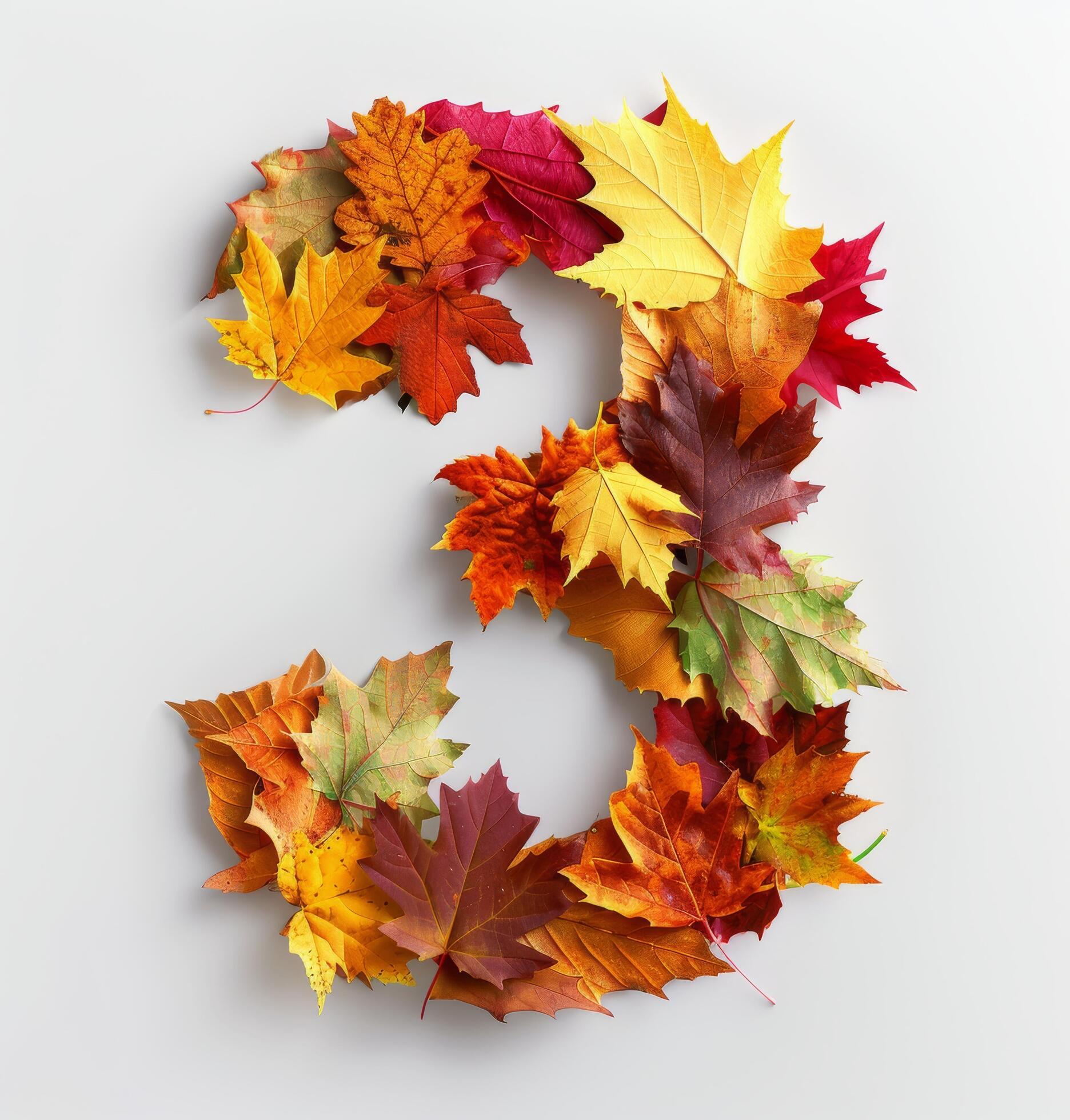 Colorful Autumn Leaves Arranged in a Number Three Shape on a White Background Stock Free