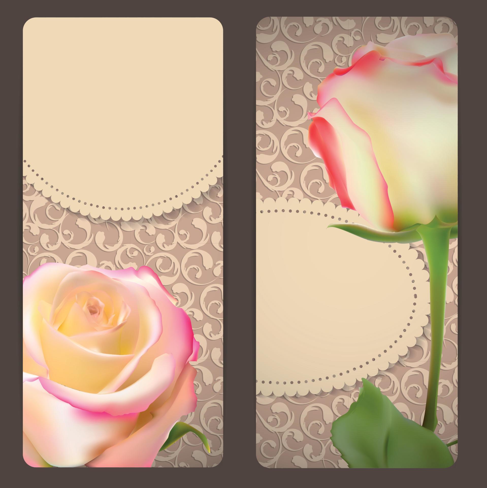 Beautiful Floral Cards with Realistic Rose Flowers Vector Illustration Stock Free