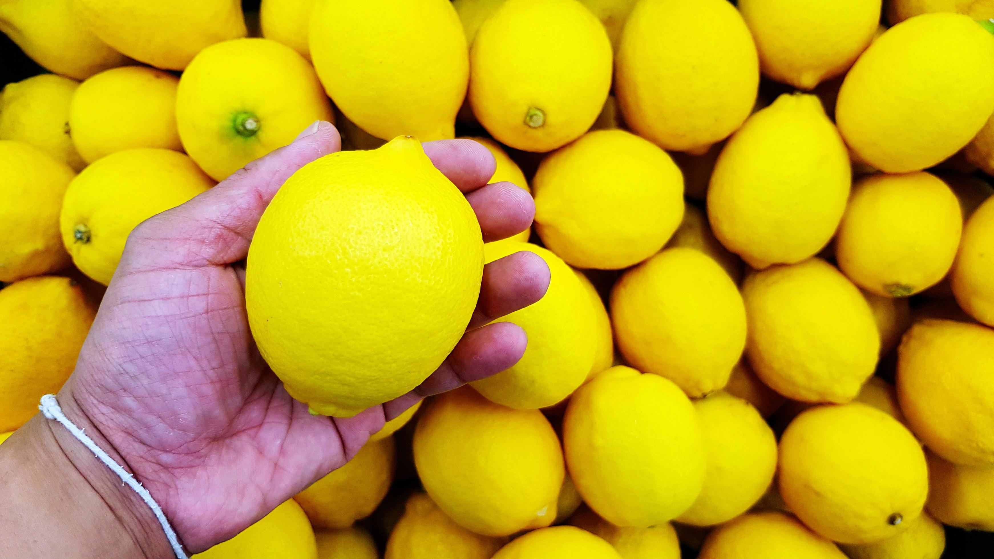 Close up hand of person holding lemon with copy space. Selection and Choice for buy best food, vegetable or fruit at market or supermarket. Stock Free