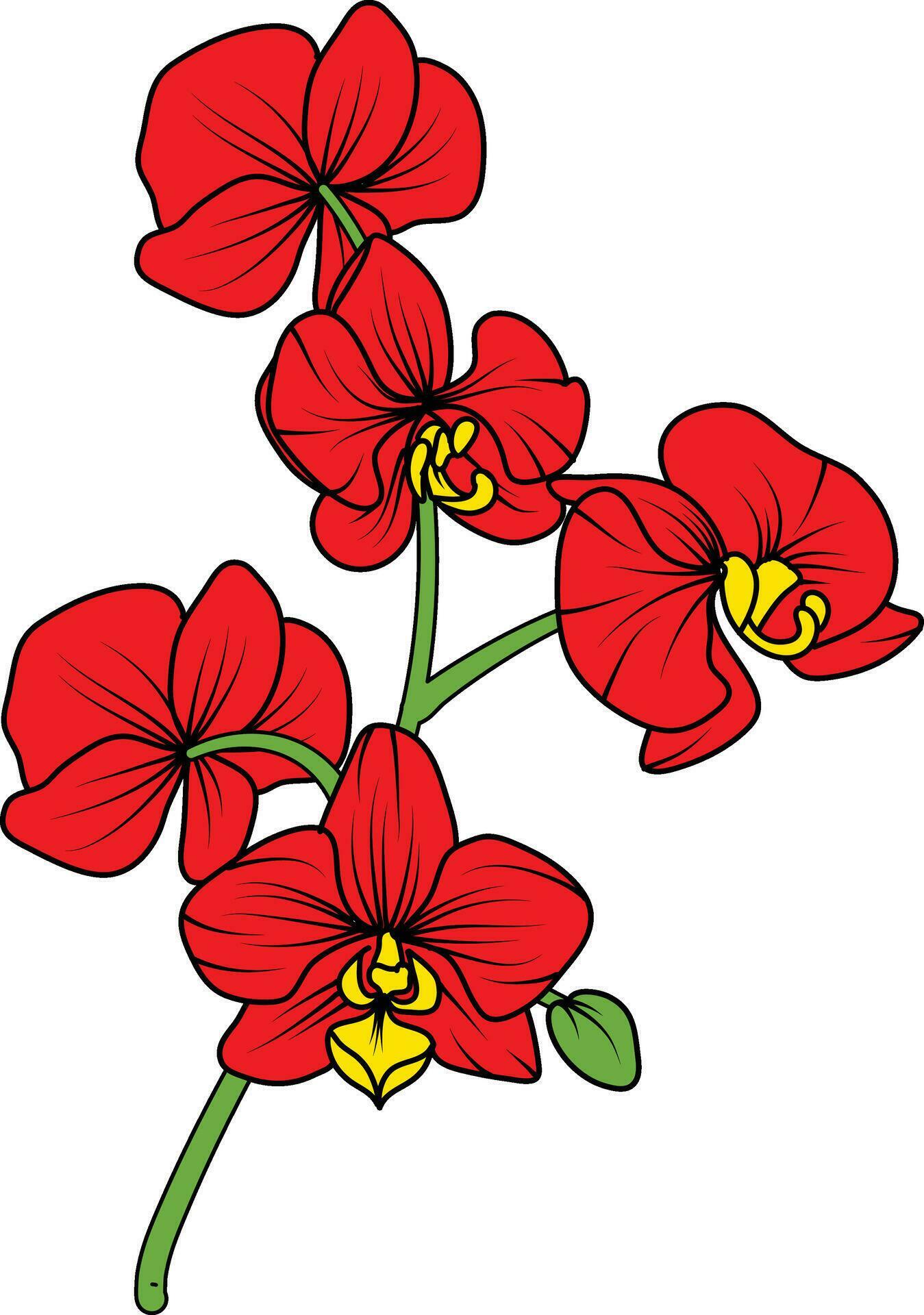 Red orchid branch vector flower, illustration of beautiful red orchid flower Stock Free