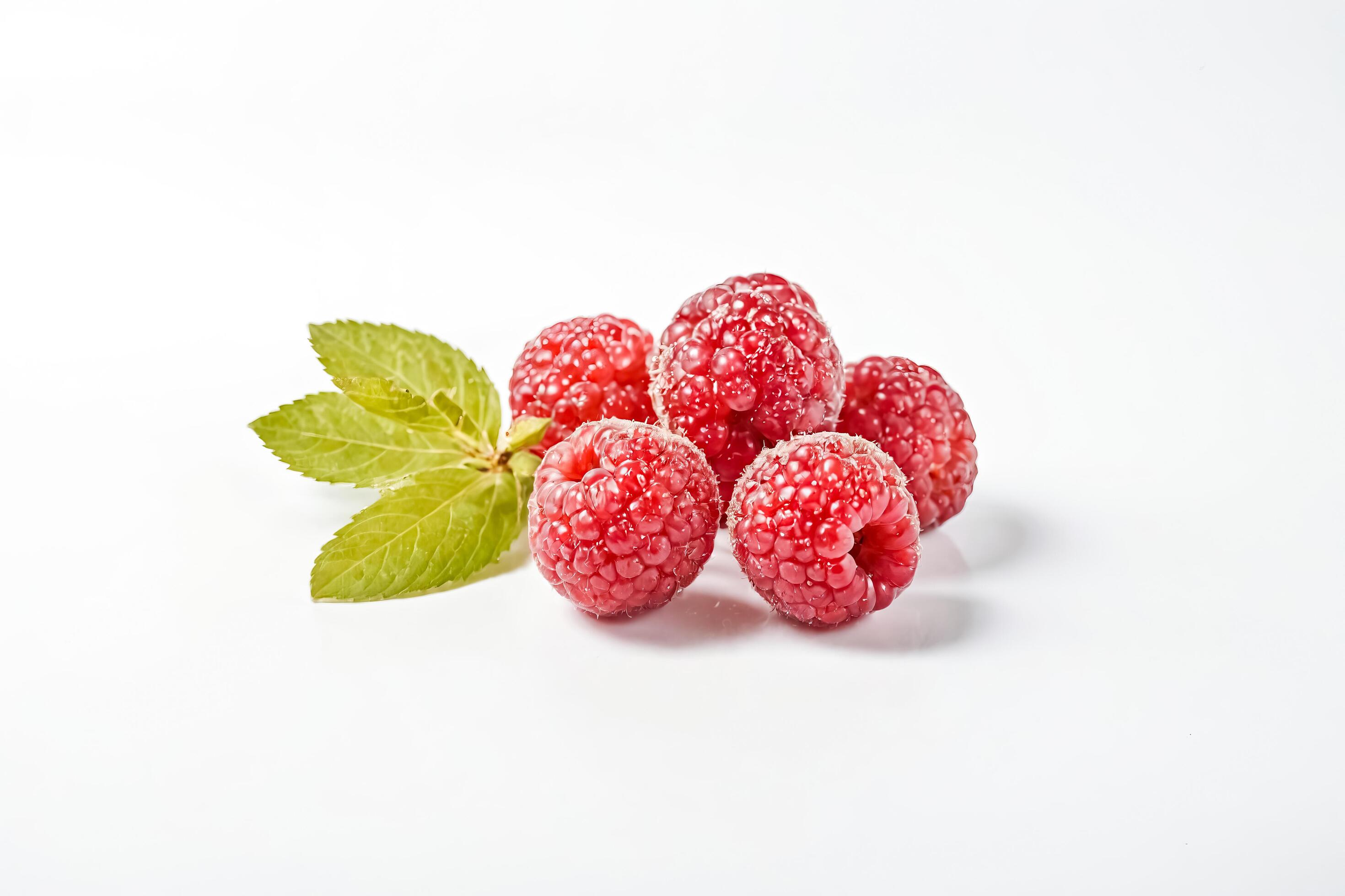 Closeup of Fresh Raspberries with Green Leaf on White Background Stock Free