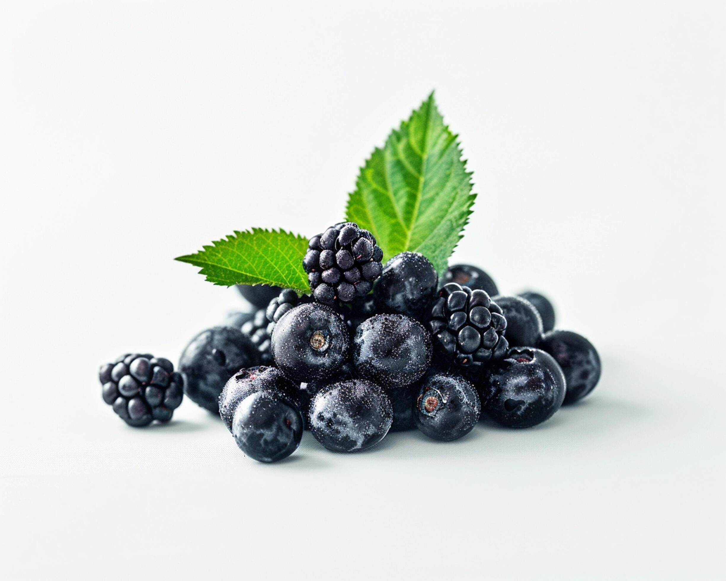 blackberries and blueberries on a white background Stock Free