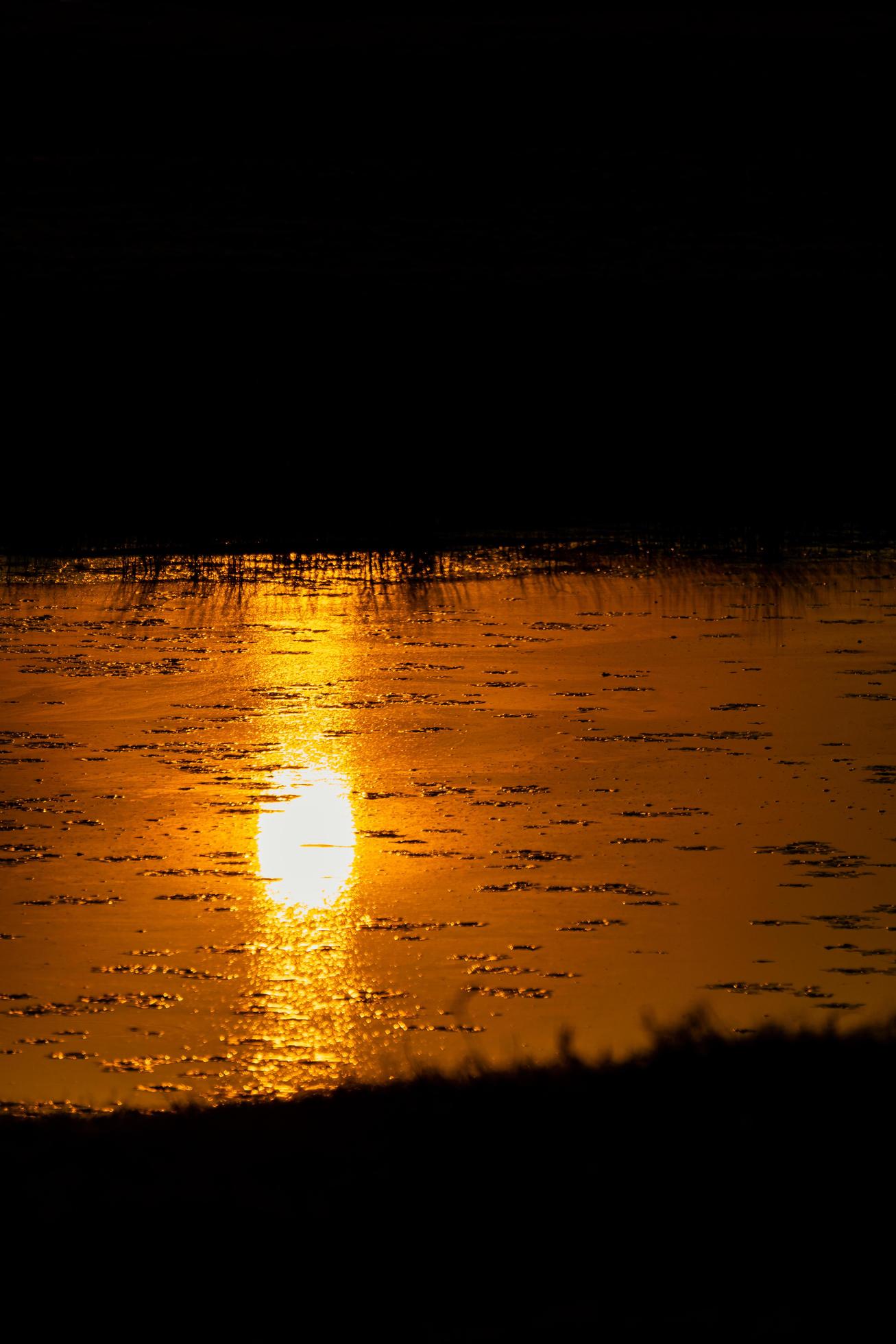 End of the afternoon, Nature, Landscape photo of a river at sunset Stock Free