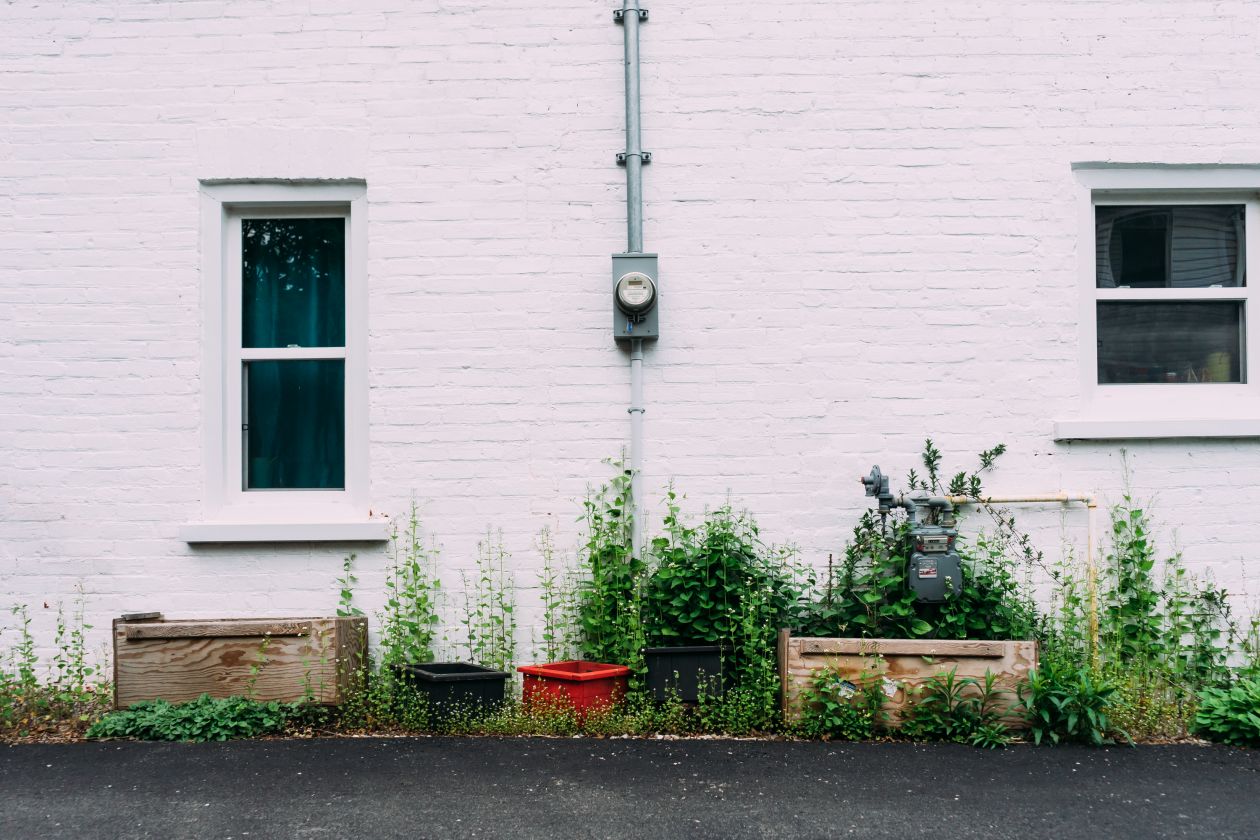 Greenery Wall Stock Free