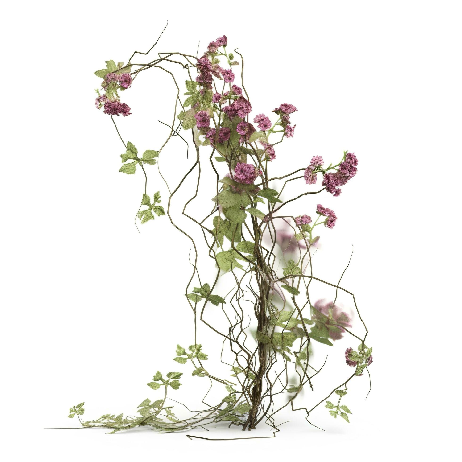 Green vine plant with dried pink flowers isolated on white background, generate ai Stock Free