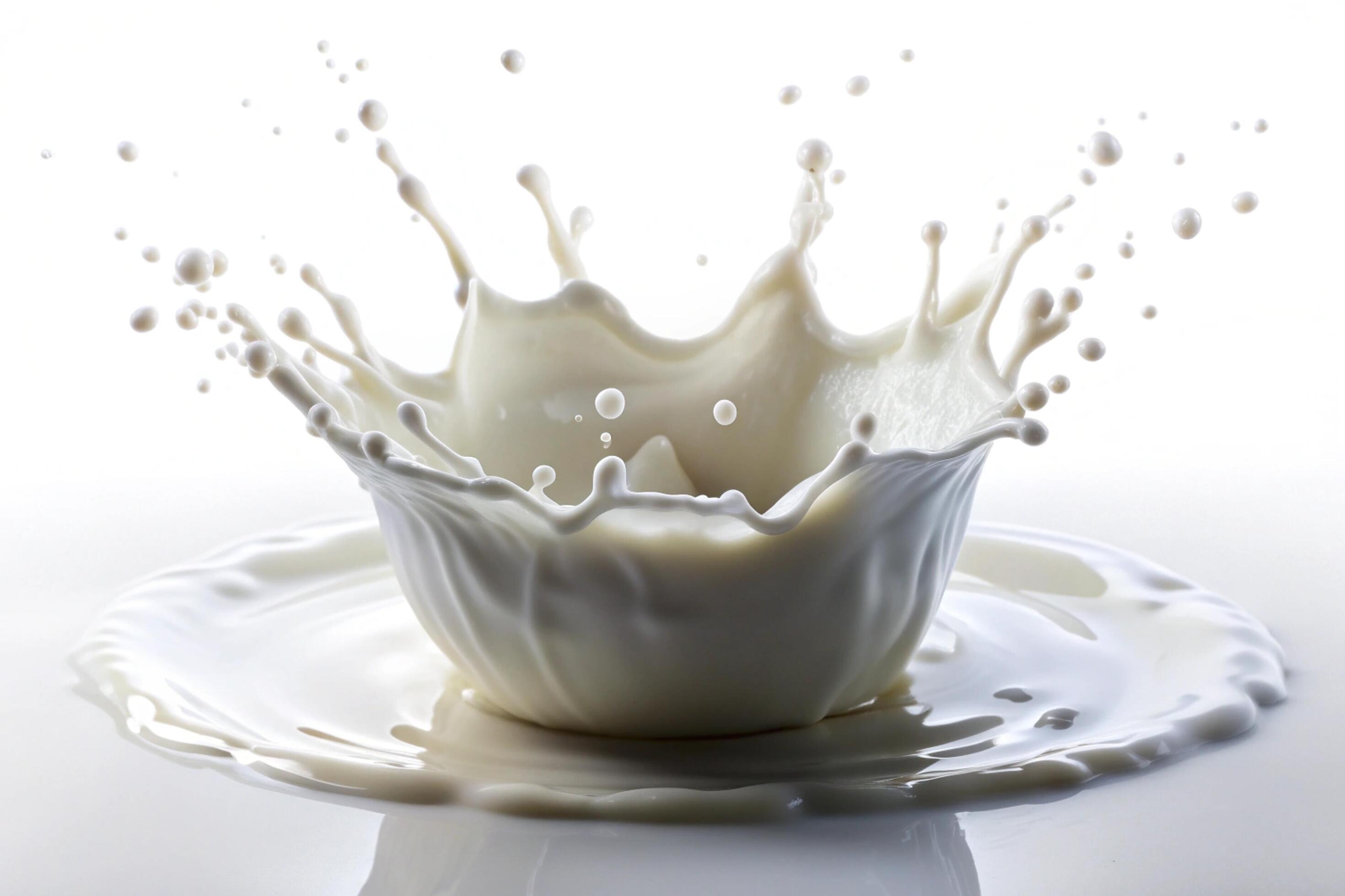 Milk splashes on white background Stock Free