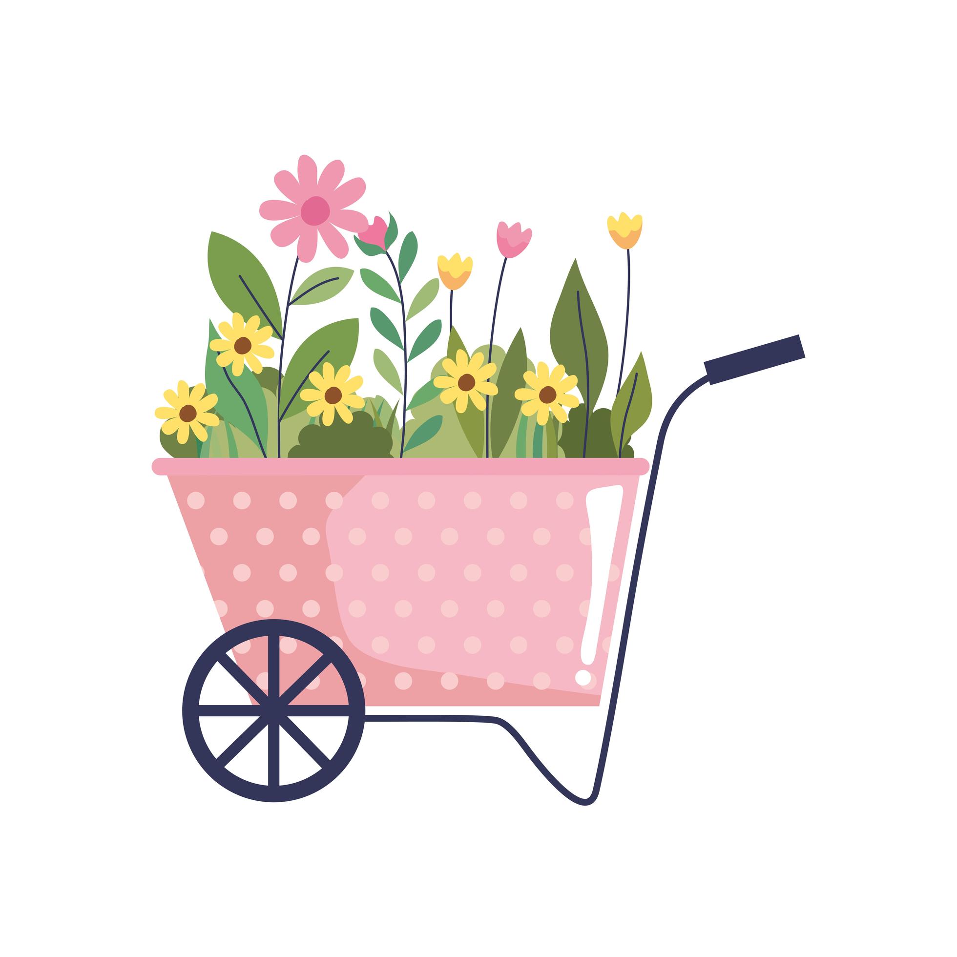 beautiful flowers garden in wheelbarrow Stock Free